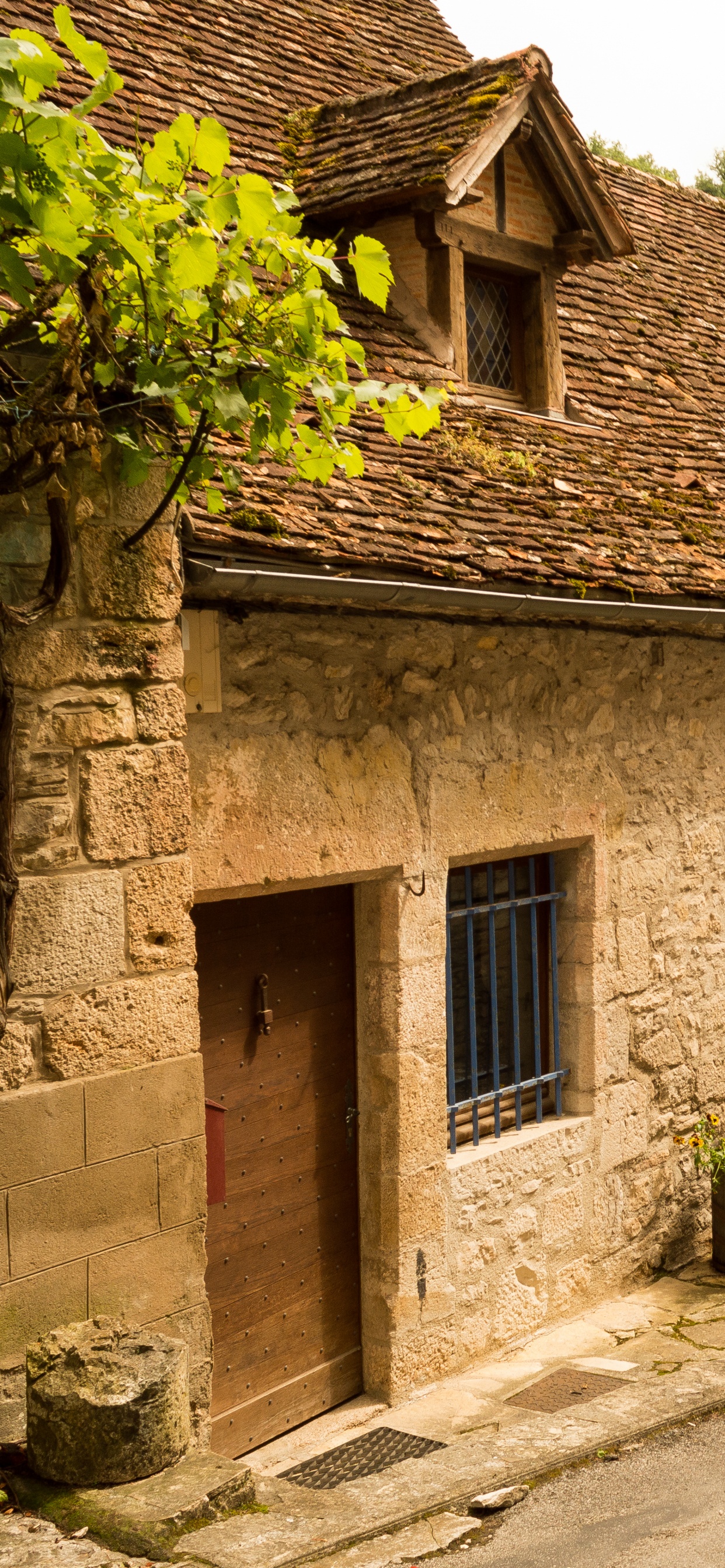 Maison en Brique Brune Avec Des Plantes Vertes. Wallpaper in 1242x2688 Resolution
