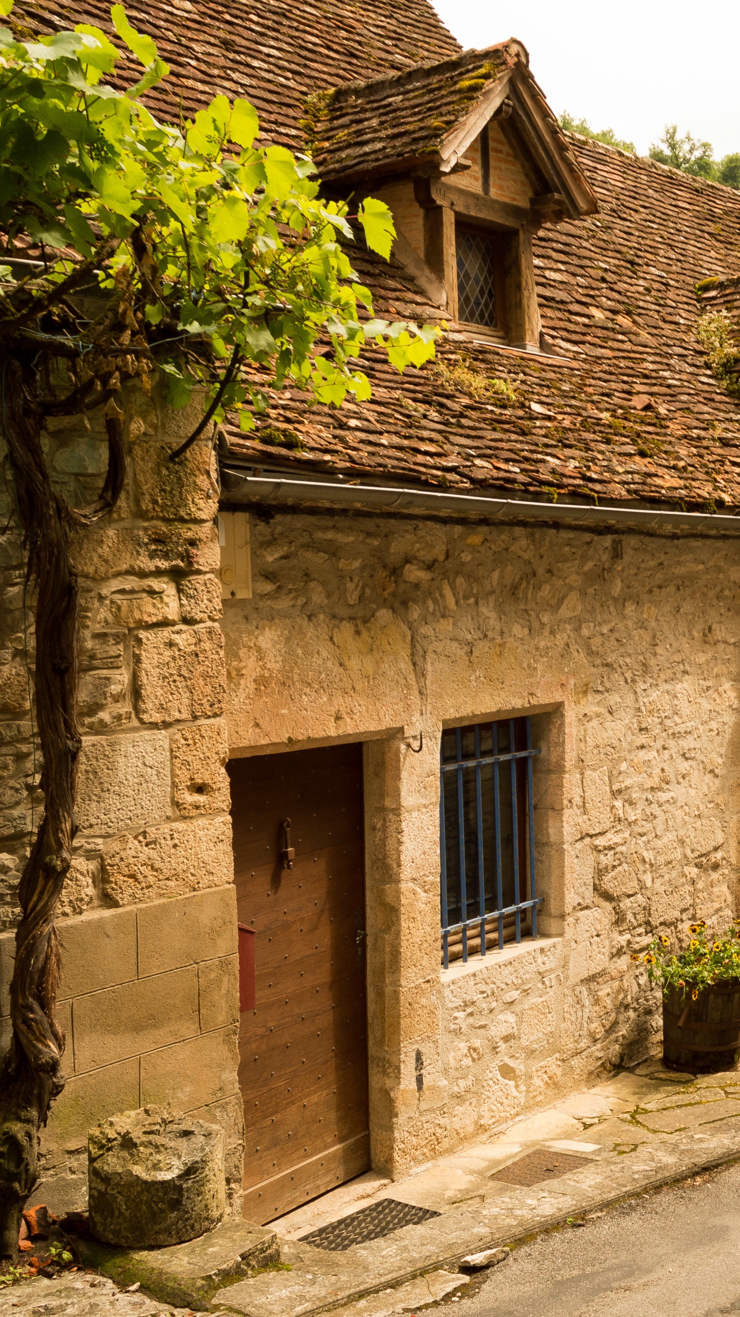 Maison en Brique Brune Avec Des Plantes Vertes. Wallpaper in 1440x2560 Resolution
