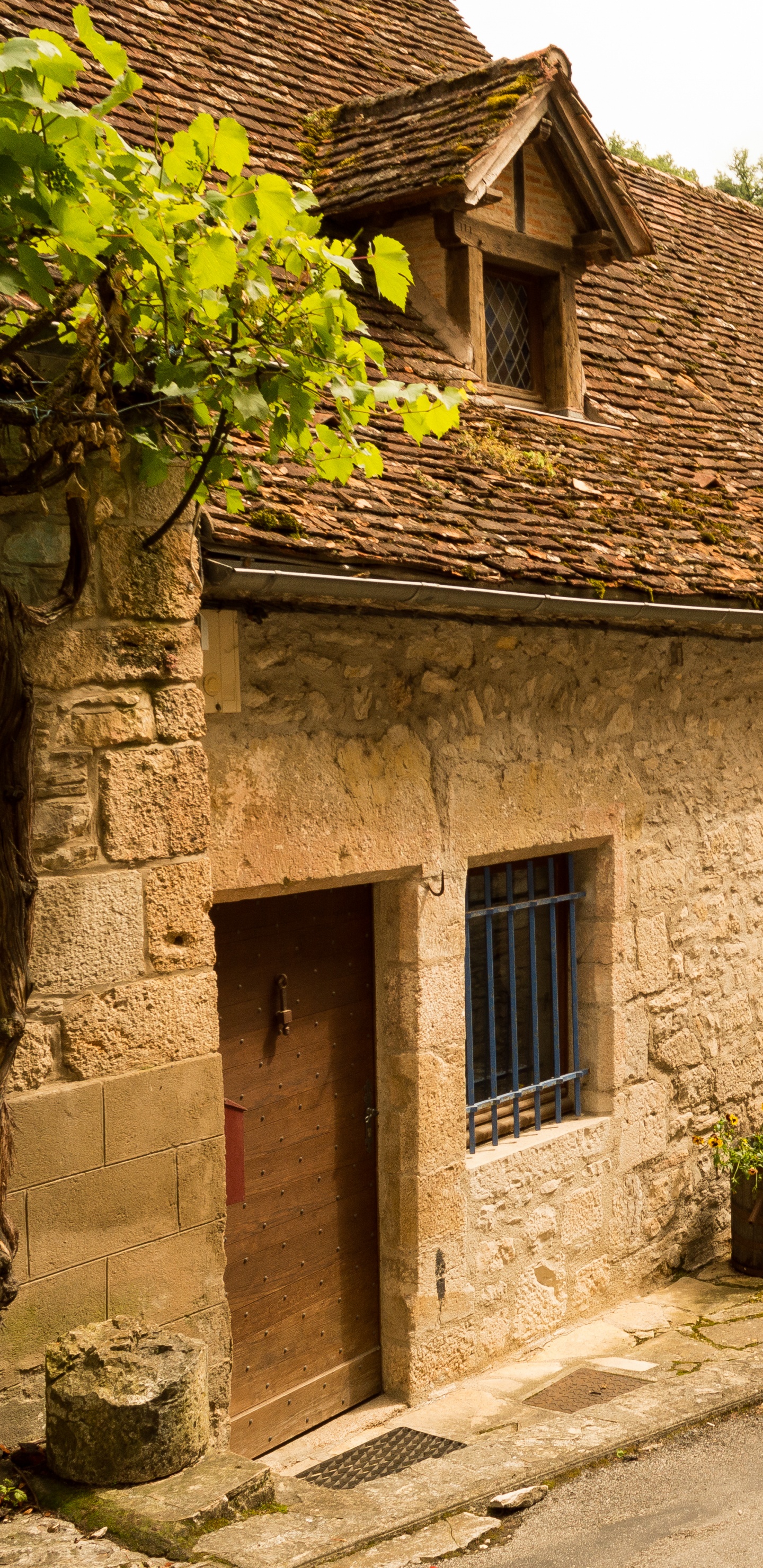 Maison en Brique Brune Avec Des Plantes Vertes. Wallpaper in 1440x2960 Resolution