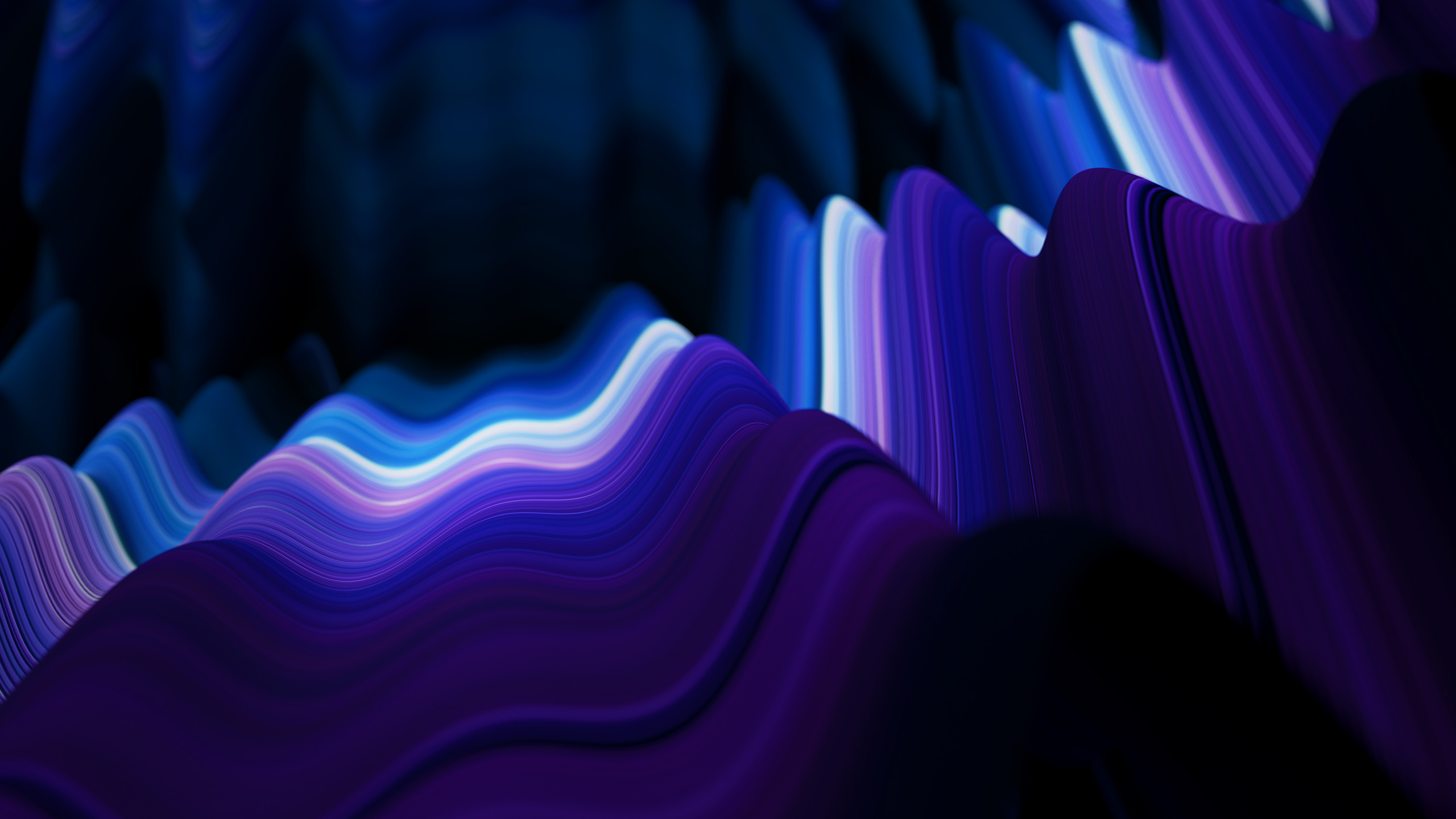 Lumière Violette et Blanche Dans Une Pièce Sombre. Wallpaper in 2560x1440 Resolution