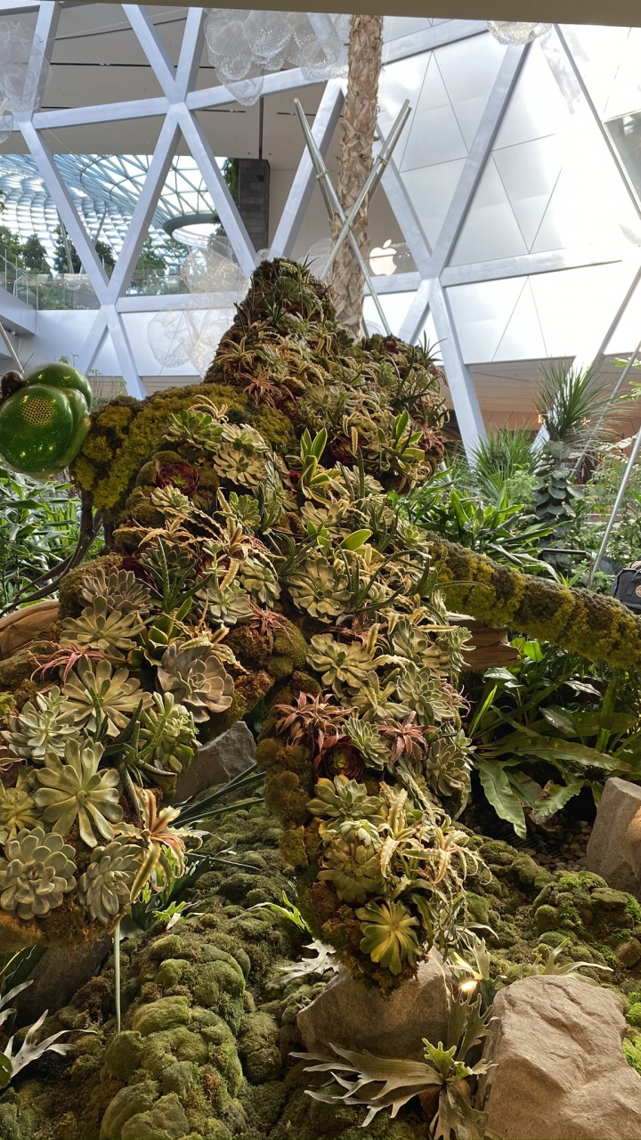 Greenhouse, Biology, Science, Botany, Terrestrial Plant. Wallpaper in 720x1280 Resolution