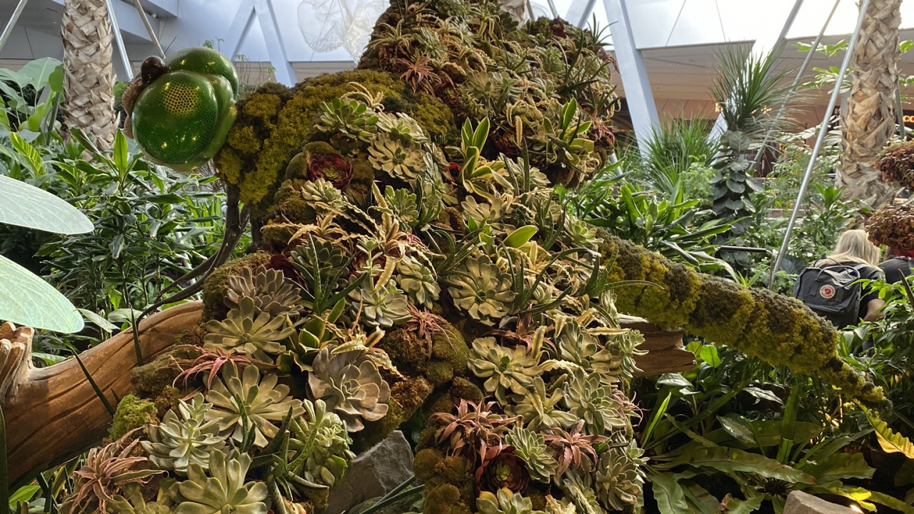 生物学, 科学, 陆地上的植物, 采光, 花园 壁纸 1280x720 允许