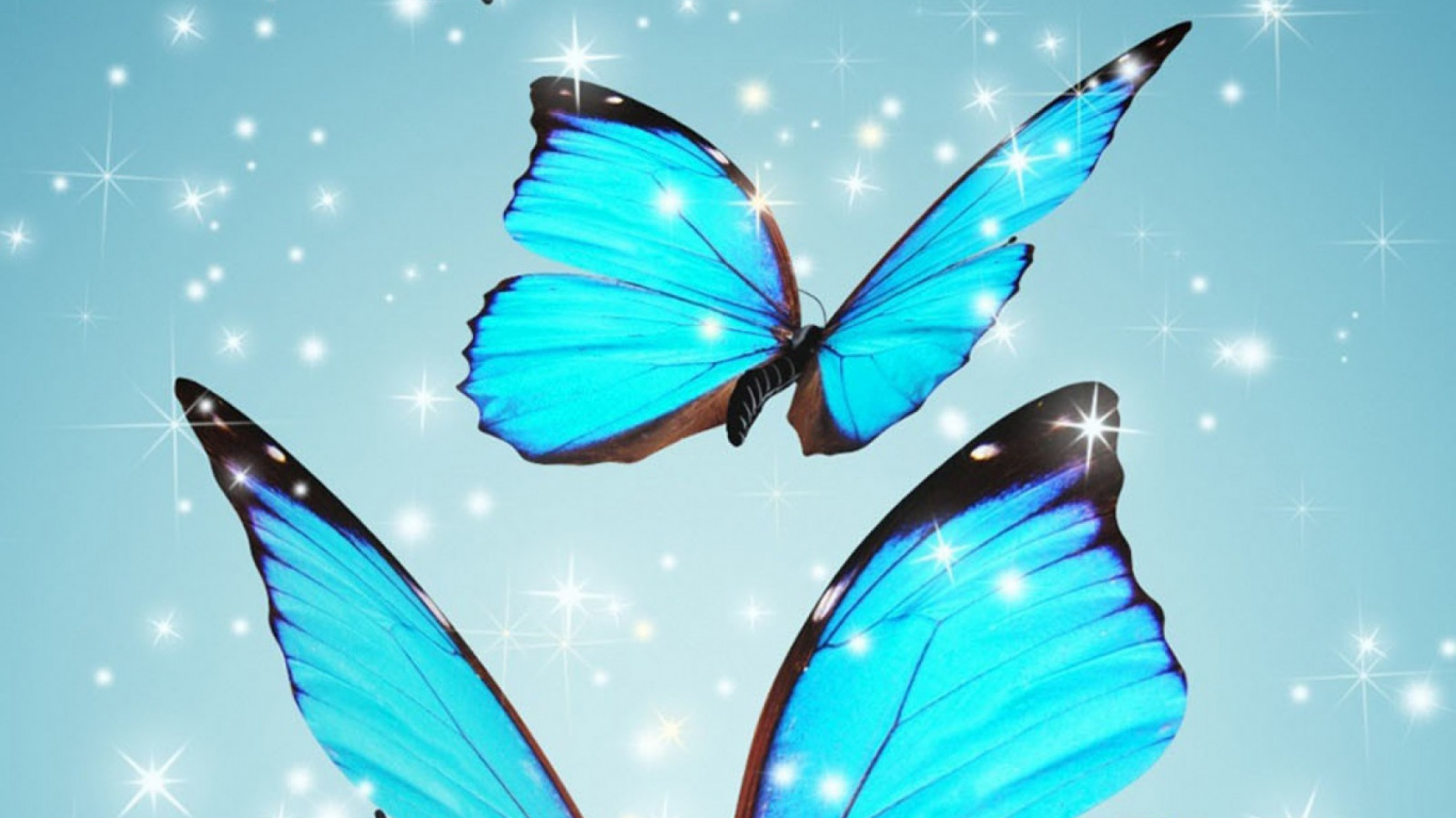 Ilustración de Mariposa Azul y Negra. Wallpaper in 1366x768 Resolution