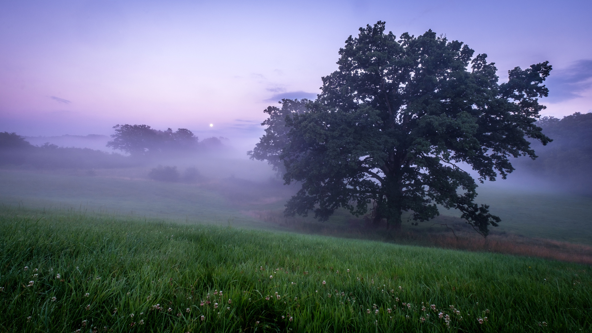Atmosphäre, Cloud, Naturlandschaft, Baum, Nebel. Wallpaper in 1920x1080 Resolution