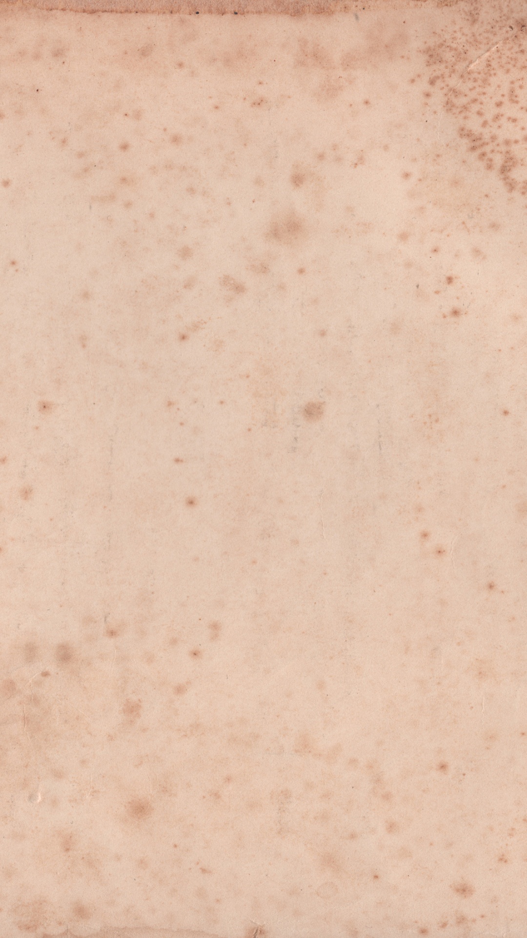 纹理, 棕色, 米色 壁纸 1080x1920 允许