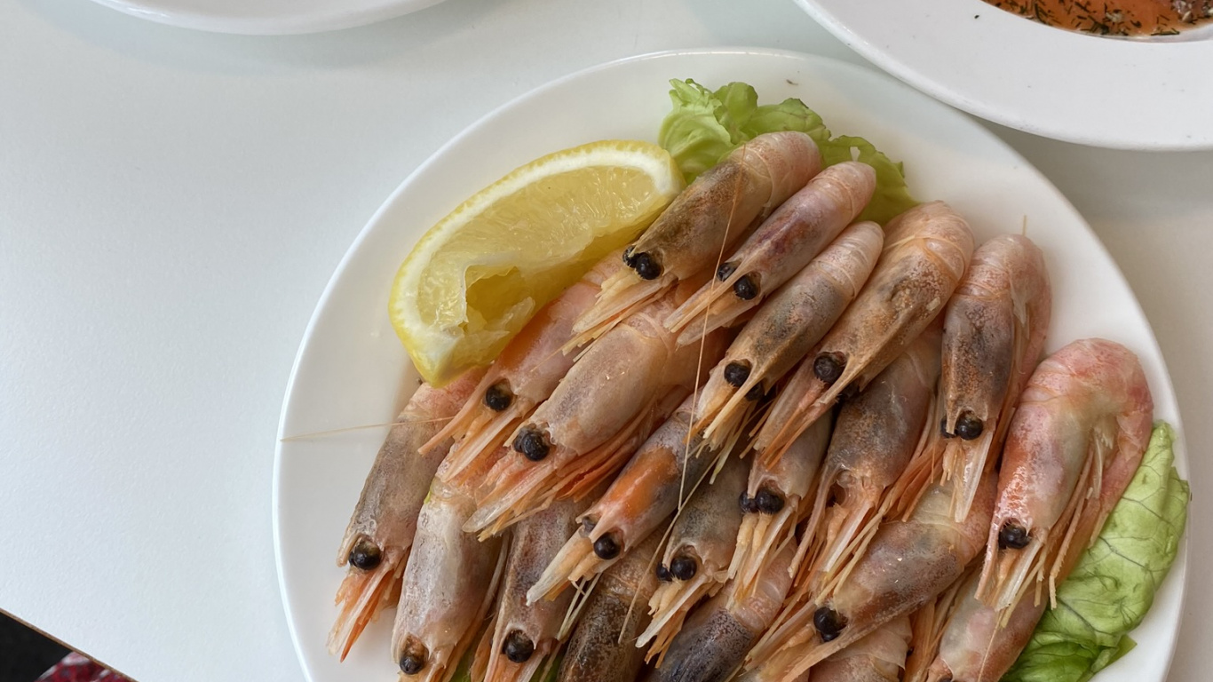 Pescado, Plato, Biología, Ciencia, Alimento. Wallpaper in 1366x768 Resolution