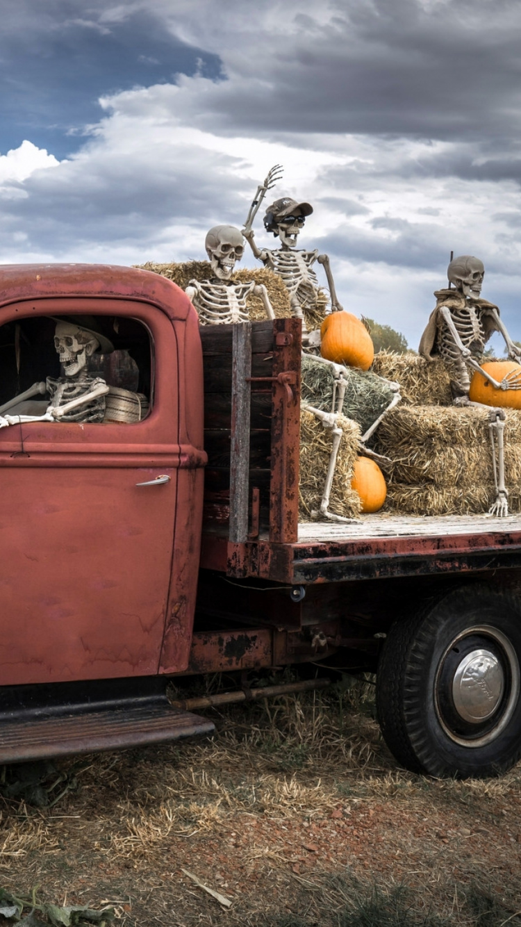 Camioneta Pickup de Cabina Única Roja en Campo de Hierba Verde Durante el Día. Wallpaper in 750x1334 Resolution