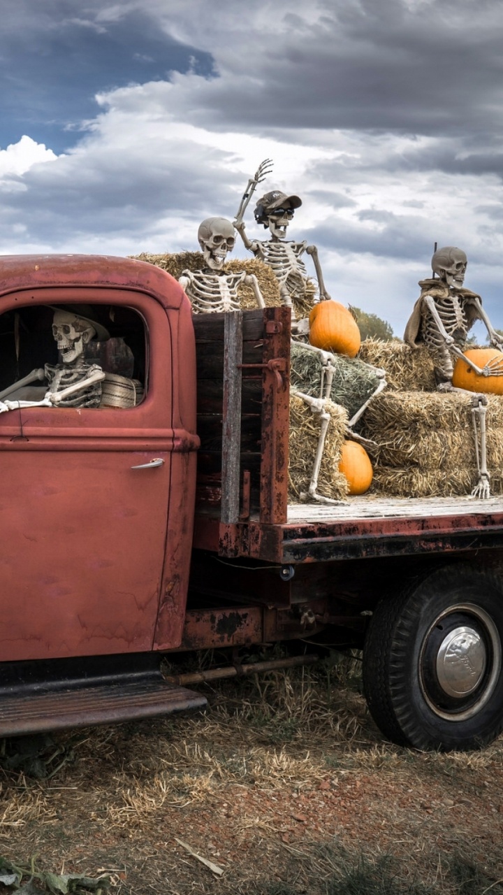 Roter Einzelkabinen-Pickup-Truck Auf Grüner Wiese Tagsüber. Wallpaper in 720x1280 Resolution