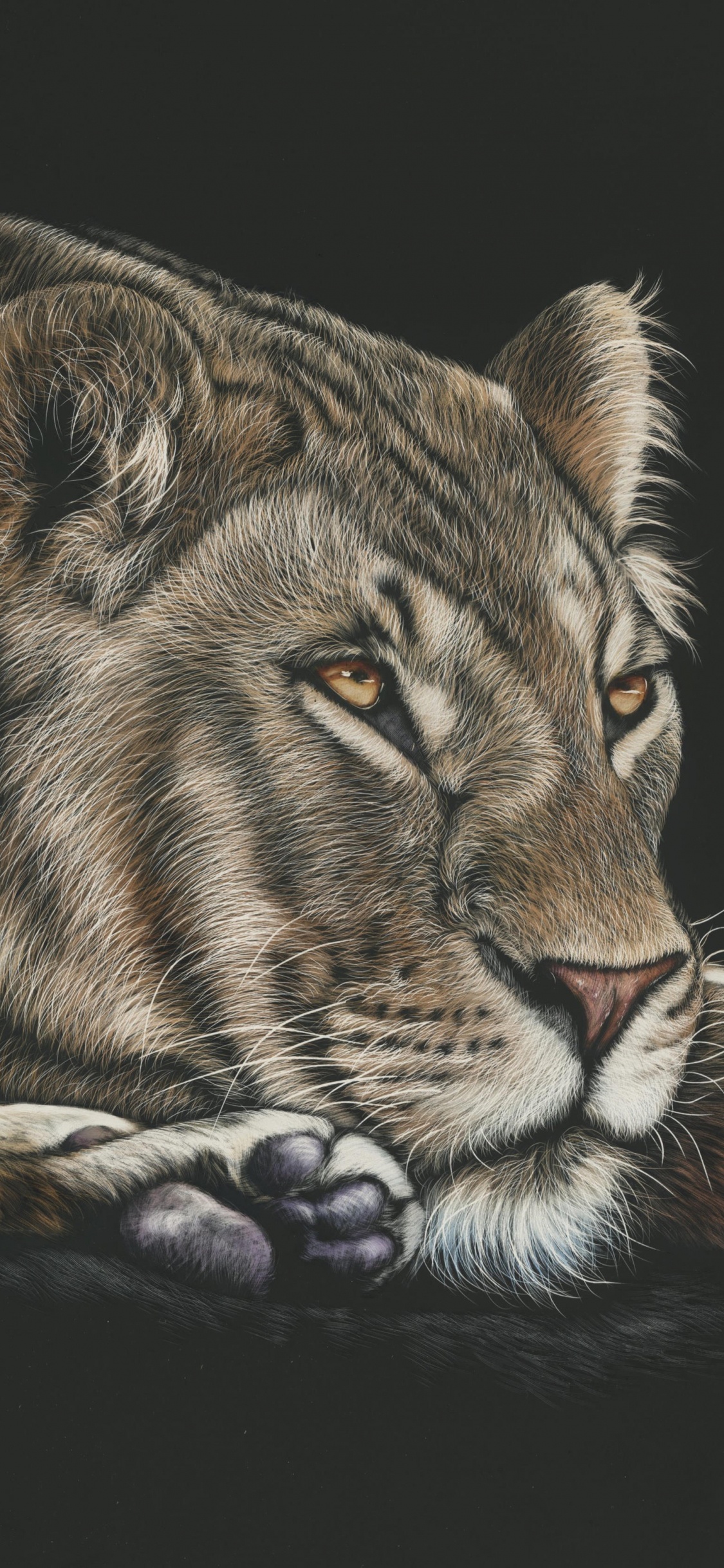 Tigre Marrón y Negro Acostado Sobre Una Superficie Negra. Wallpaper in 1125x2436 Resolution