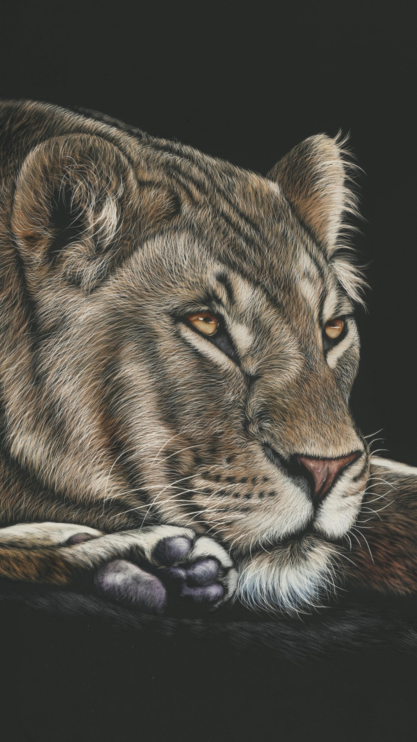 Brauner Und Schwarzer Tiger, Der Auf Schwarzer Oberfläche Liegt. Wallpaper in 1440x2560 Resolution