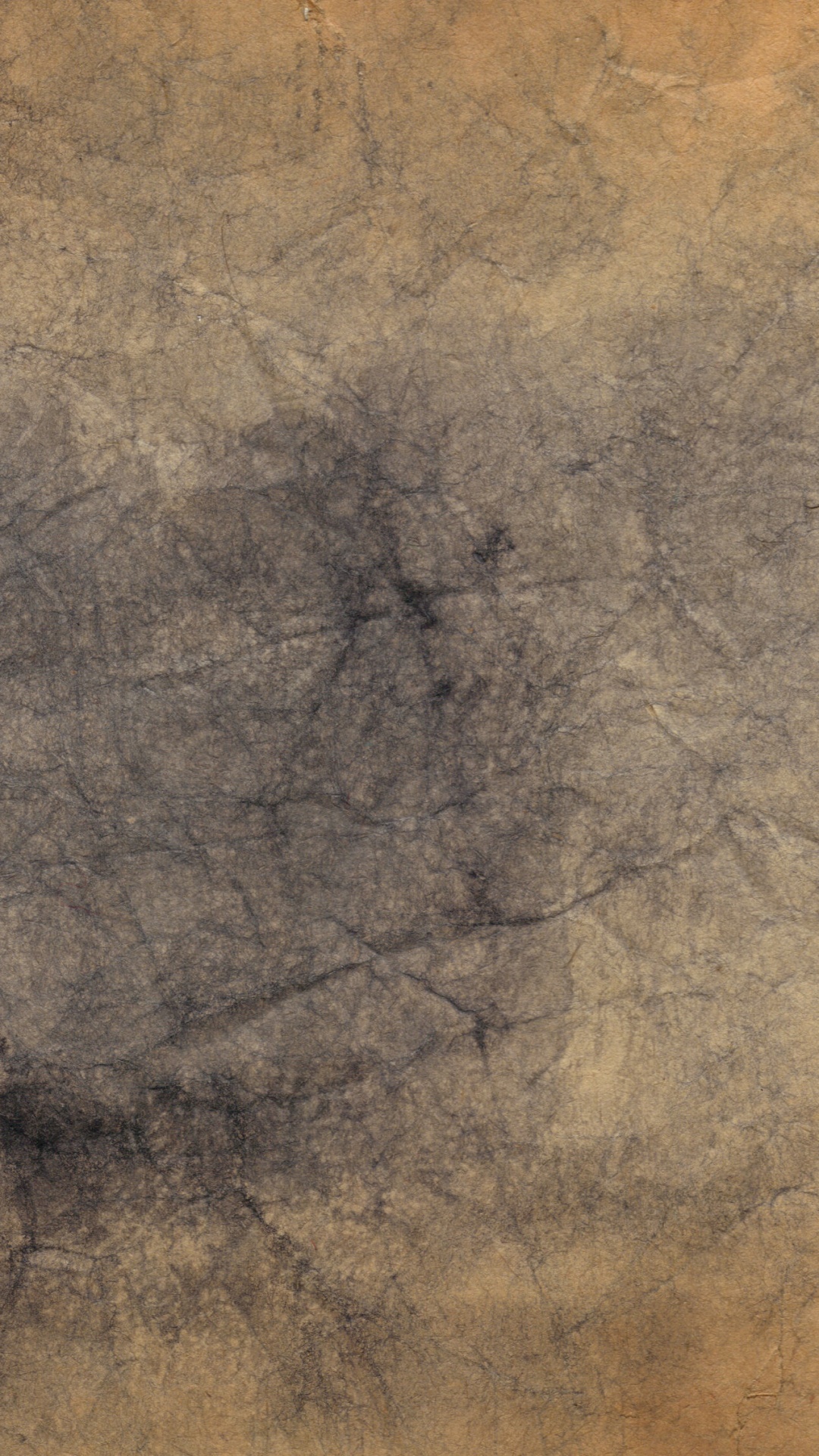 Schwarzer Kahler Baum Auf Braunem Sand. Wallpaper in 1080x1920 Resolution