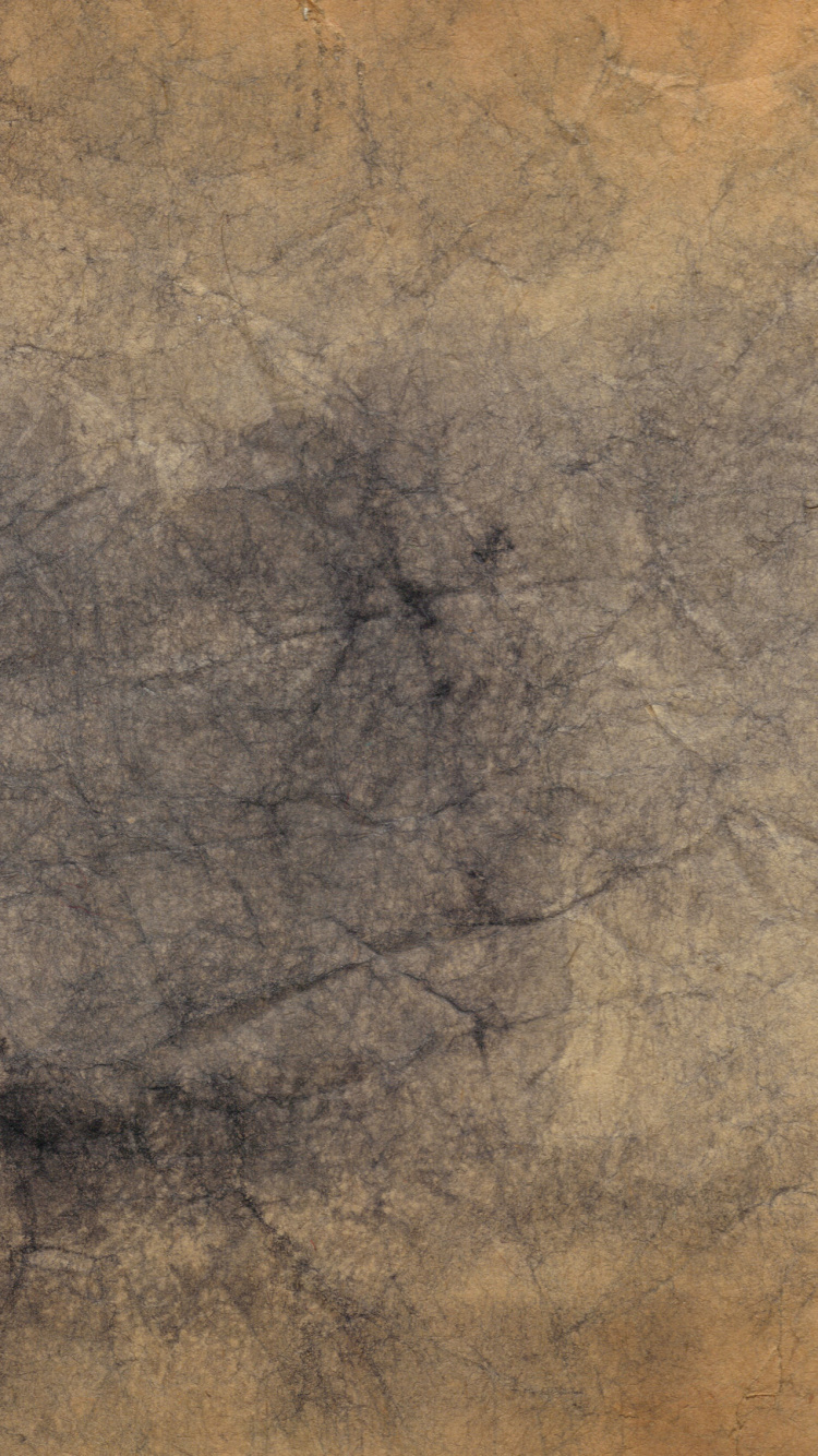 Schwarzer Kahler Baum Auf Braunem Sand. Wallpaper in 750x1334 Resolution