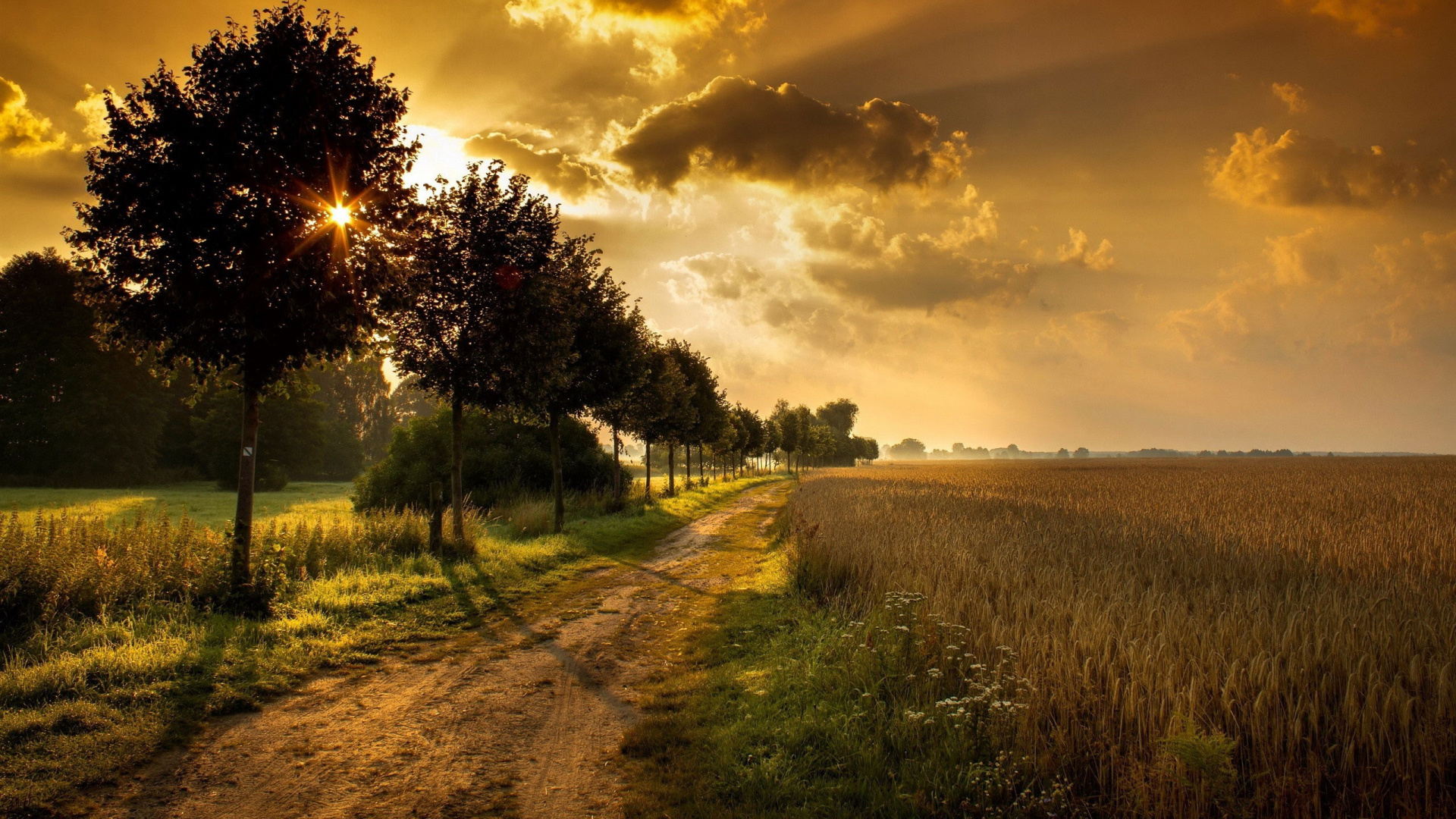 Green Grass Field Near Trees Under Cloudy Sky During Daytime. Wallpaper in 1920x1080 Resolution