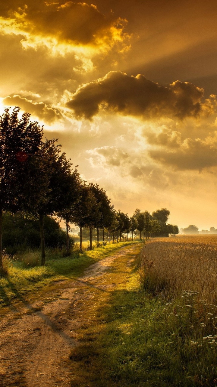 Green Grass Field Near Trees Under Cloudy Sky During Daytime. Wallpaper in 720x1280 Resolution
