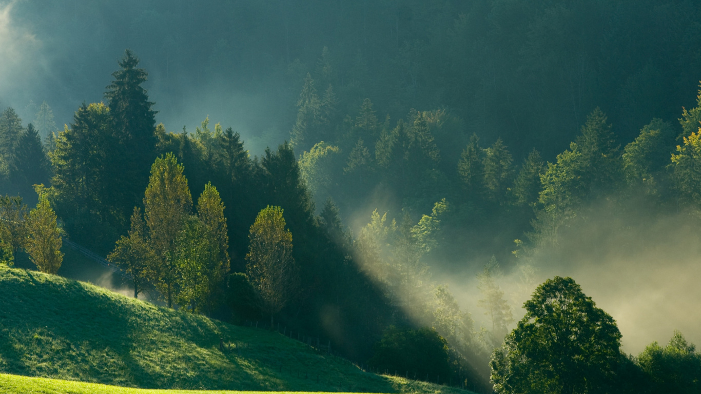 Grüne Bäume Auf Grüner Wiese Unter Grauem Himmel. Wallpaper in 1366x768 Resolution