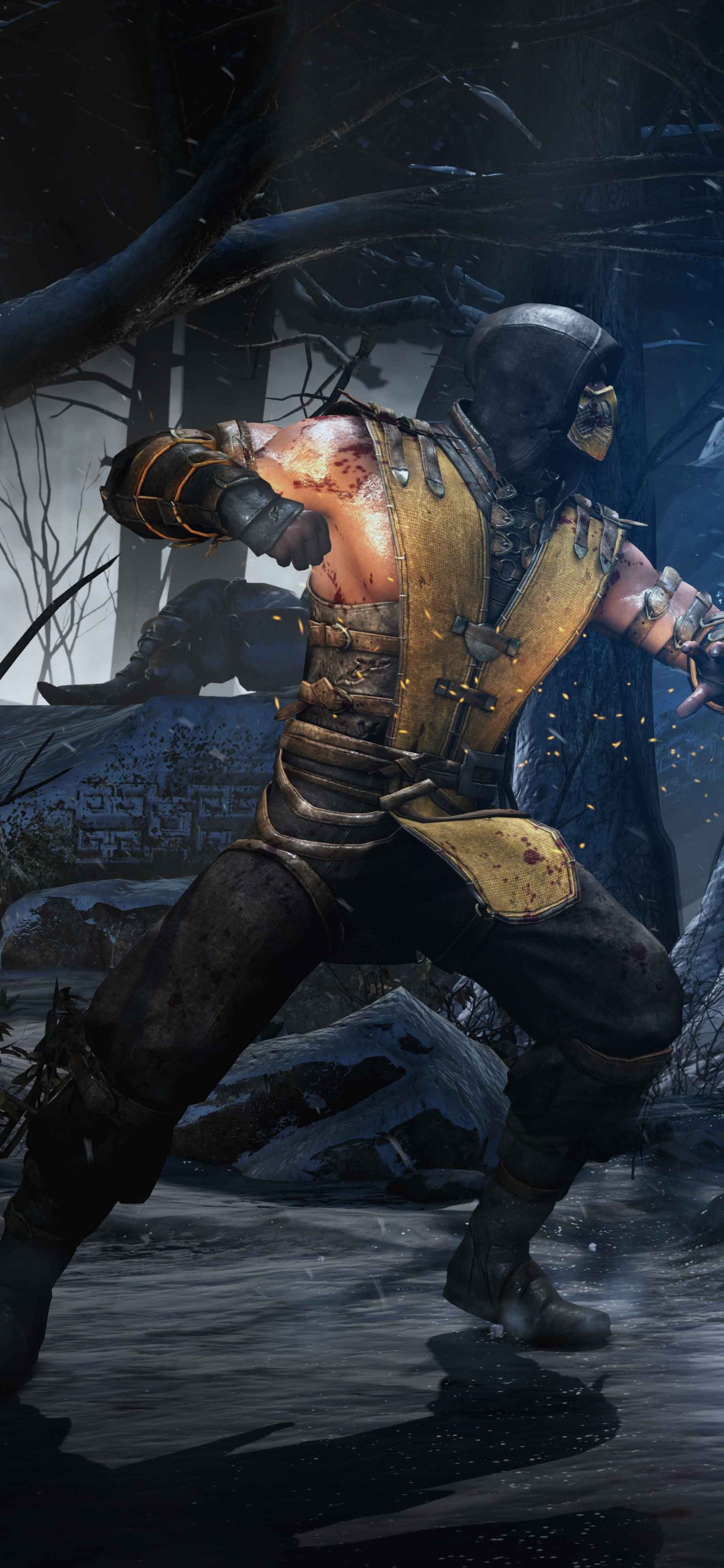 Mortal Kombat x, Mortal Kombat, Kampfspiel, Netherrealm Studios, Pc-Spiel. Wallpaper in 1242x2688 Resolution