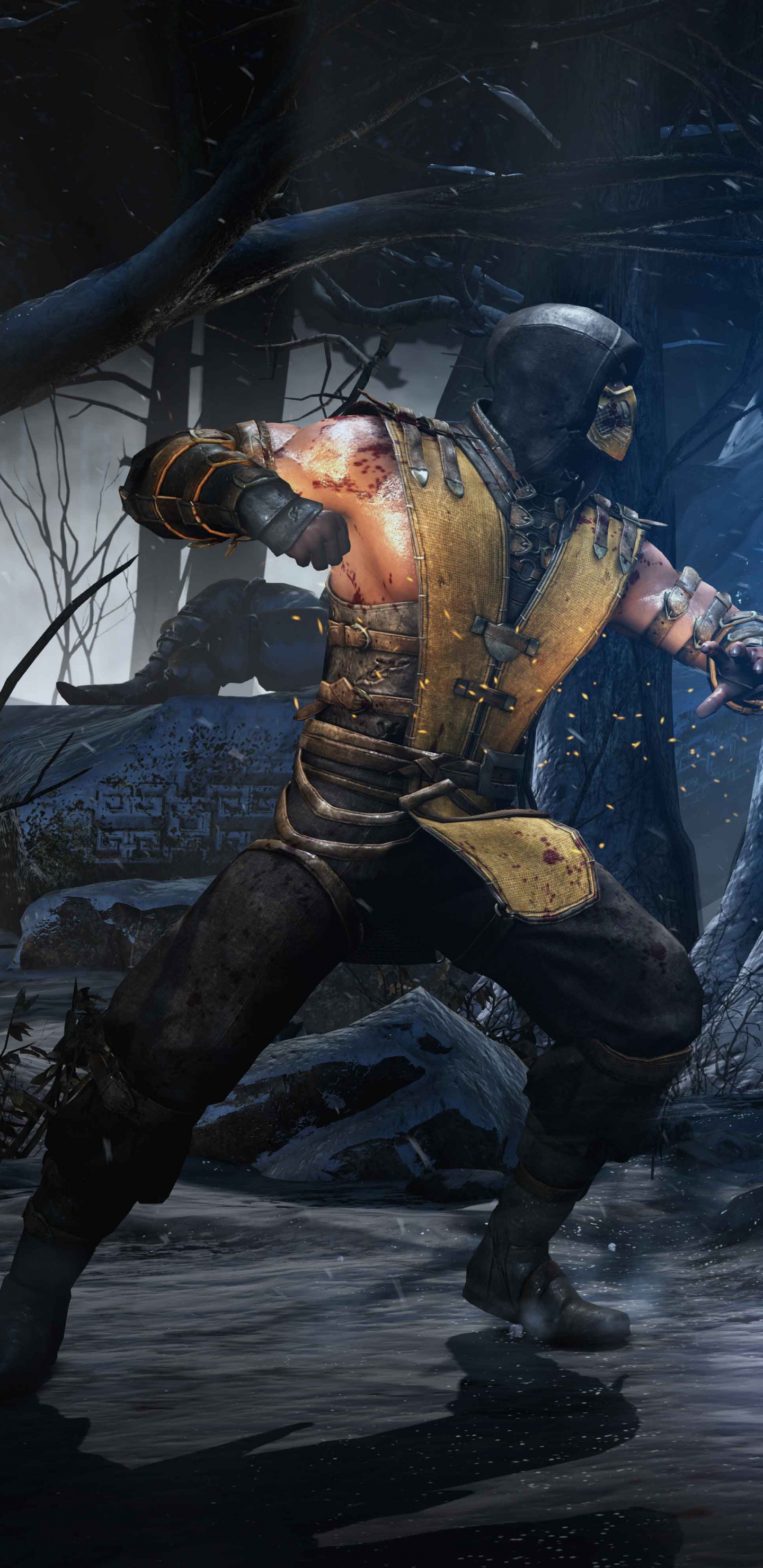 Mortal Kombat x, Mortal Kombat, Fighting Game, Netherrealm Studios, pc Game. Wallpaper in 1440x2960 Resolution