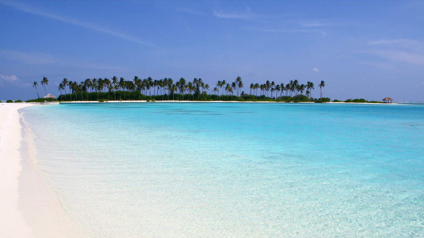 Tagsüber Grüne Bäume Auf Der Insel. Wallpaper in 1366x768 Resolution