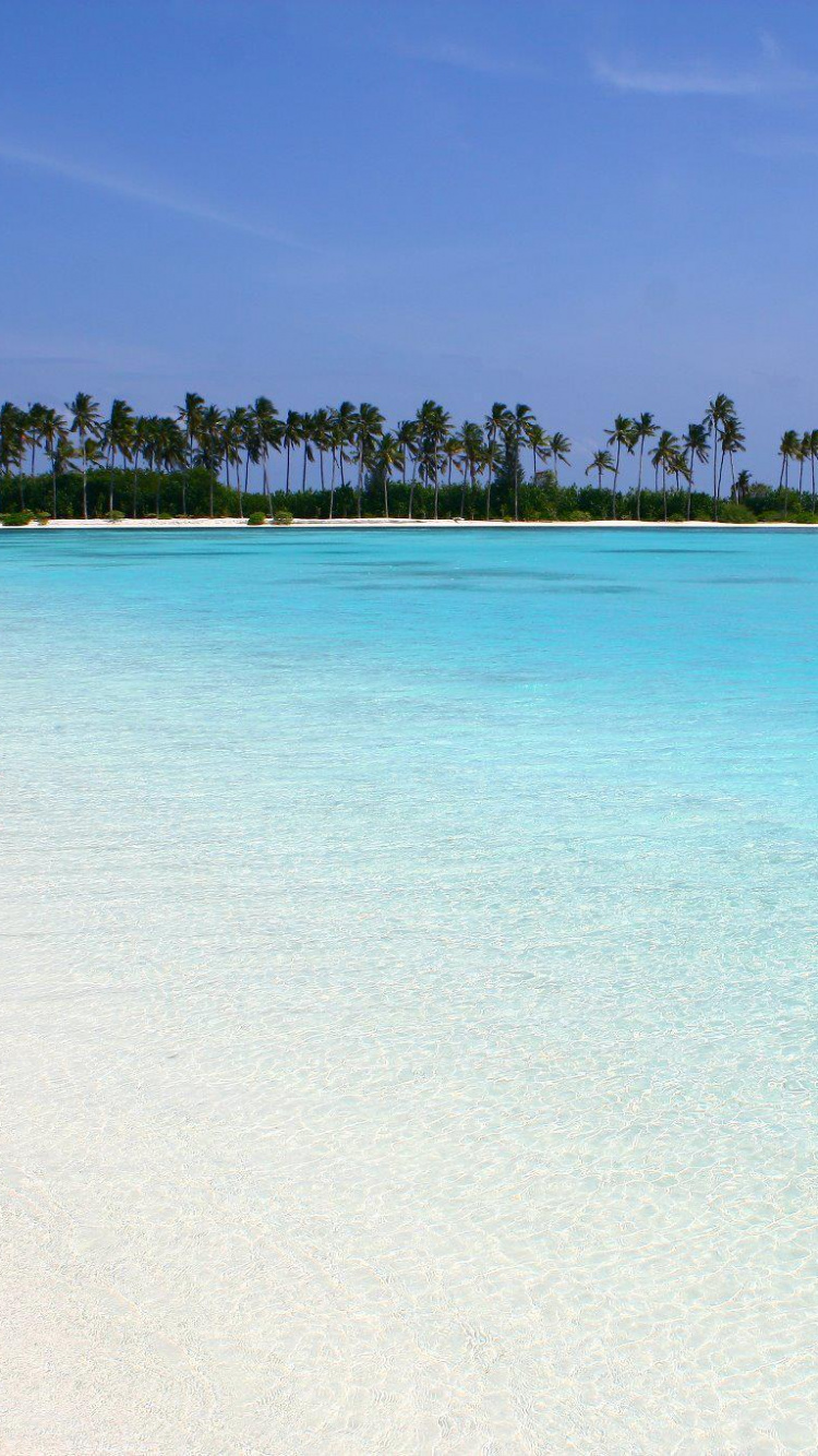 Tagsüber Grüne Bäume Auf Der Insel. Wallpaper in 750x1334 Resolution