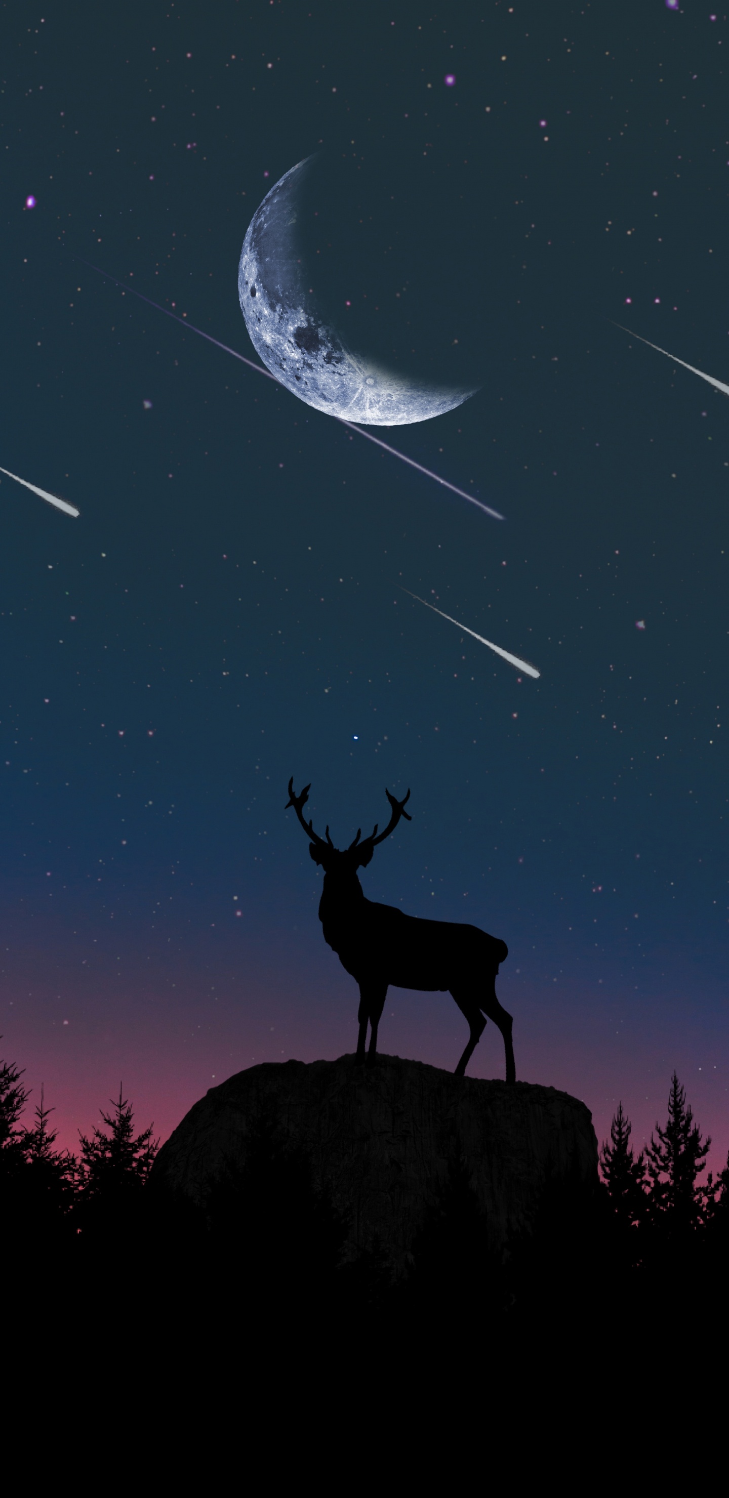 Silhouette de Cerf Debout Sur le Rocher Sous la Nuit Étoilée. Wallpaper in 1440x2960 Resolution