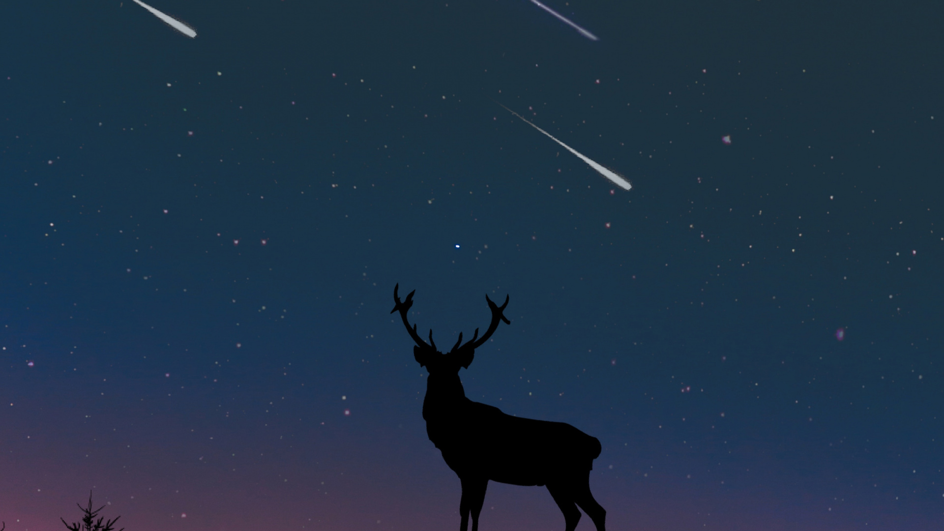 Silhouette de Cerf Debout Sur le Rocher Sous la Nuit Étoilée. Wallpaper in 1920x1080 Resolution