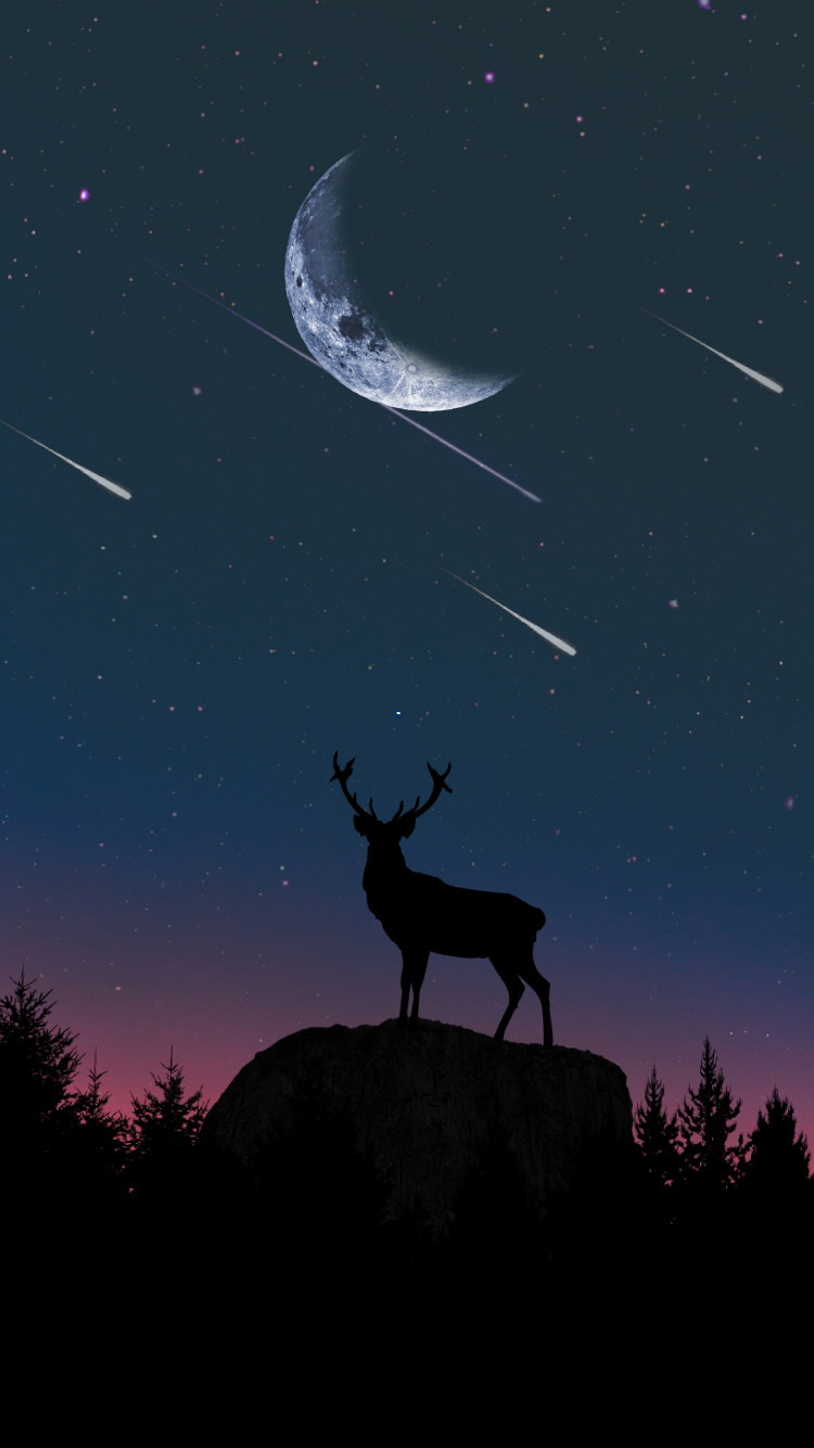 Silhouette de Cerf Debout Sur le Rocher Sous la Nuit Étoilée. Wallpaper in 750x1334 Resolution
