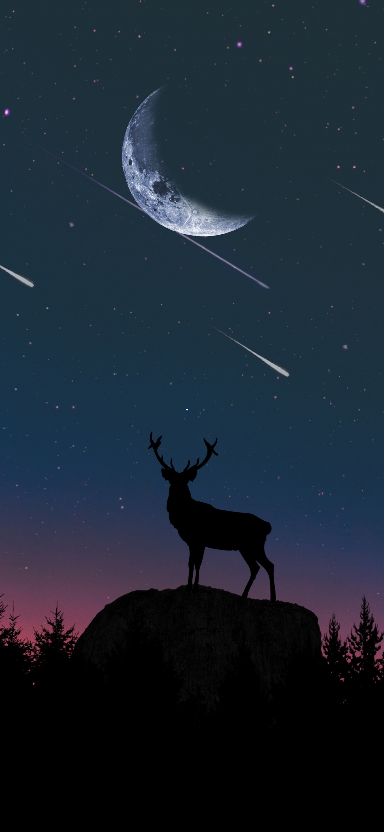 Silhouette Von Rehen, Die Auf Felsen Unter Sternennacht Stehen. Wallpaper in 1242x2688 Resolution