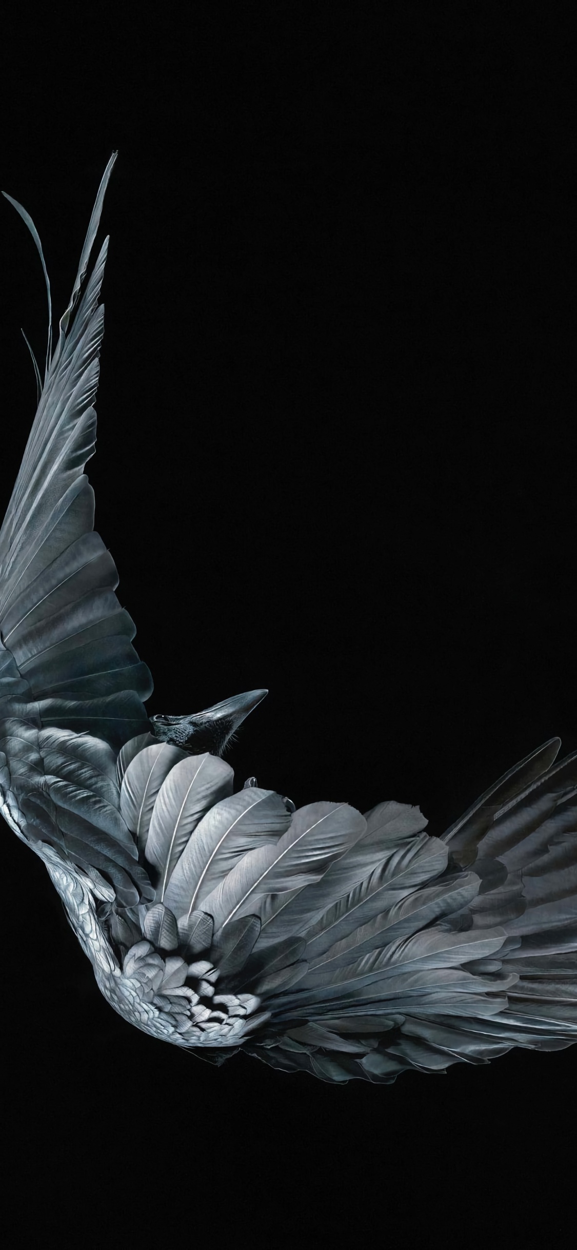 Art de Mourir Vices, Tête, Geste, Créature Mythique, Plume. Wallpaper in 1125x2436 Resolution