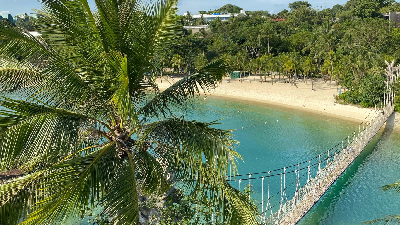 Nature, Palm Trees, Science, Body of Water, Vegetation. Wallpaper in 1366x768 Resolution