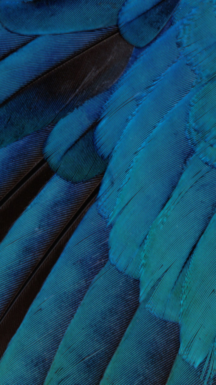 Apple, IOS 10, IPhone, Äpfeln, IOS 9. Wallpaper in 720x1280 Resolution