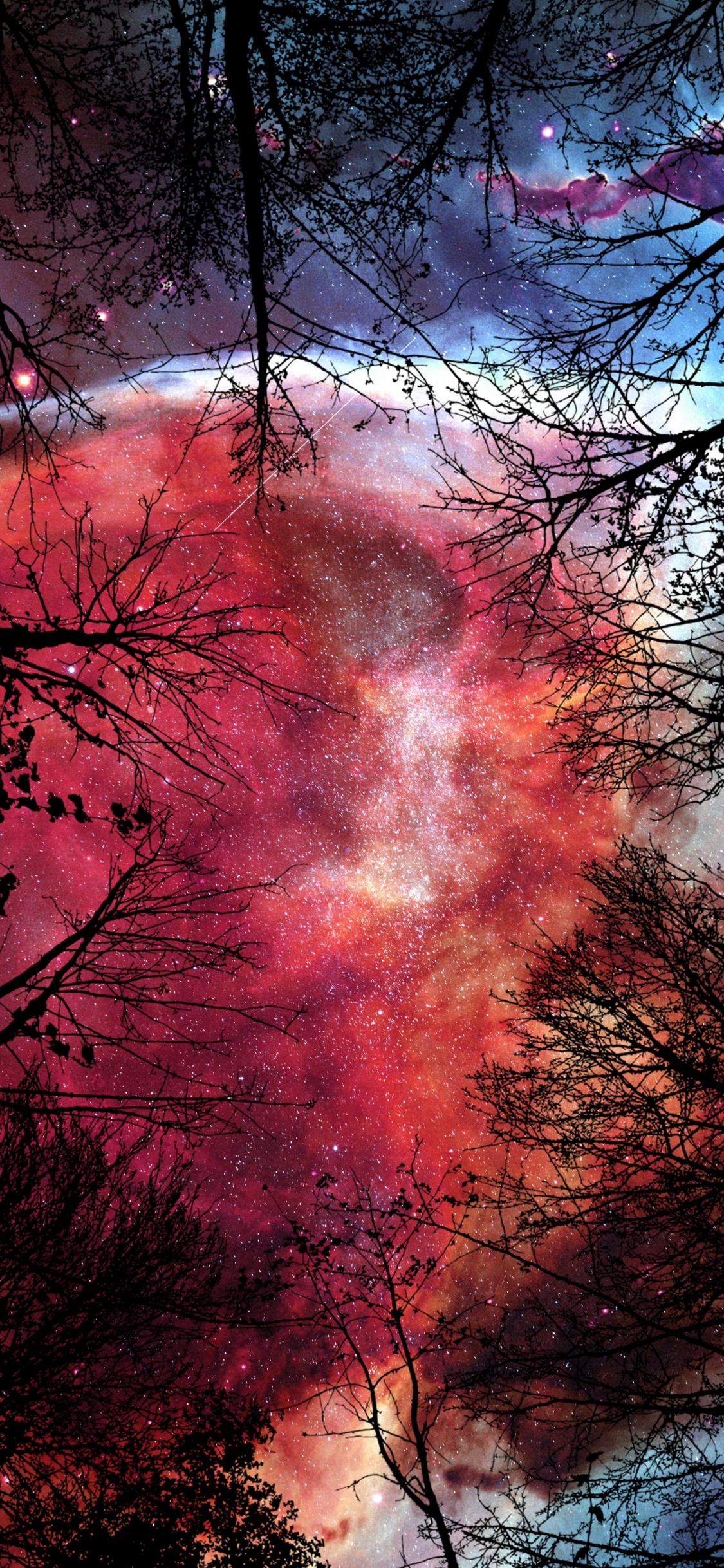 Nature, Chroma Key, Atmosphère, Paysage Naturel, Afterglow. Wallpaper in 1125x2436 Resolution