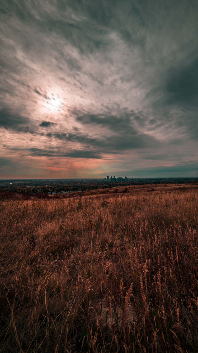 Cloud, Plant, Atmosphere, Natural Landscape, Dusk. Wallpaper in 750x1334 Resolution