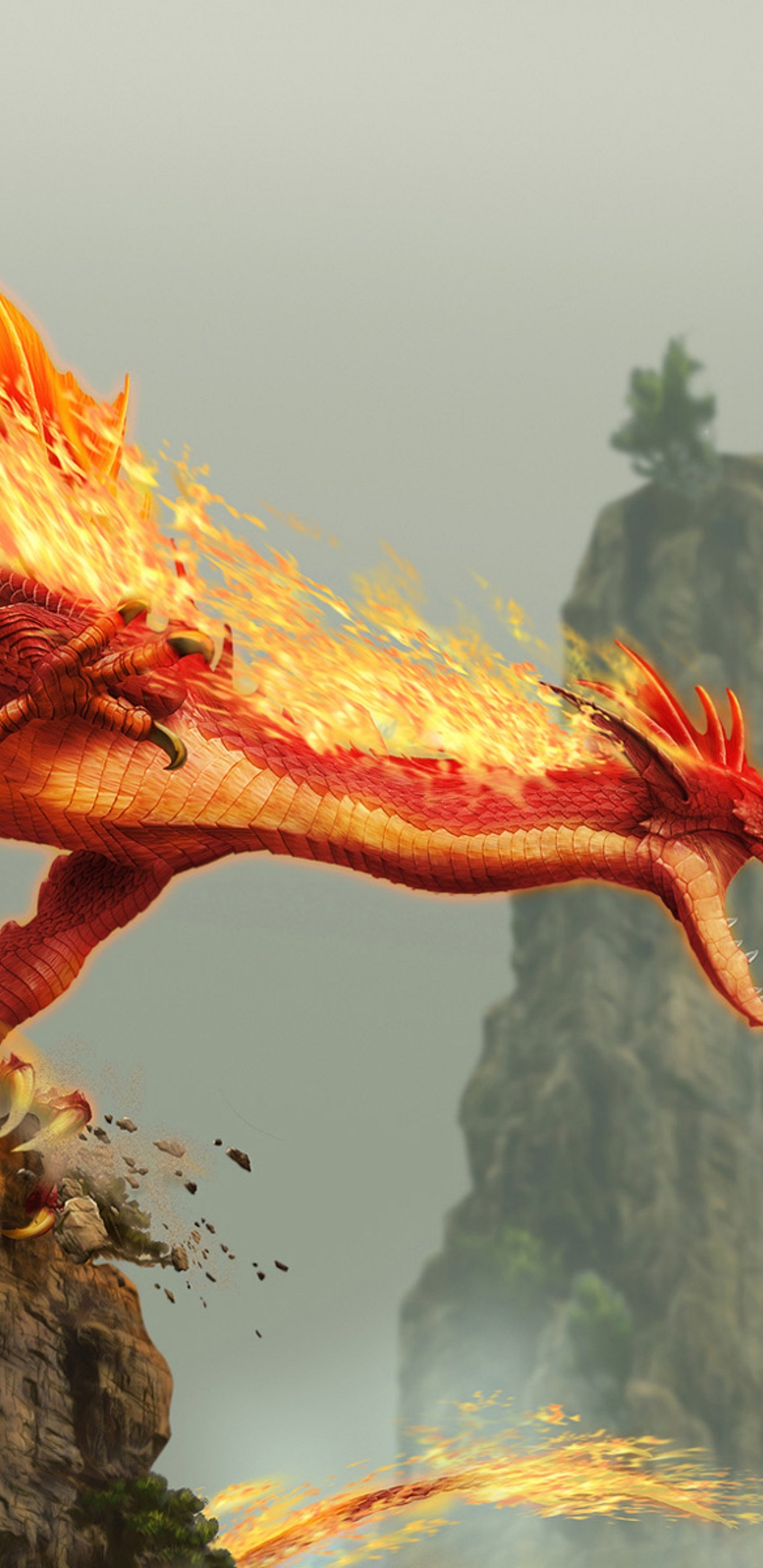 Dragon de Feu Rouge, Dragon, Fantasy, Créature Mythique, la Mythologie. Wallpaper in 1440x2960 Resolution