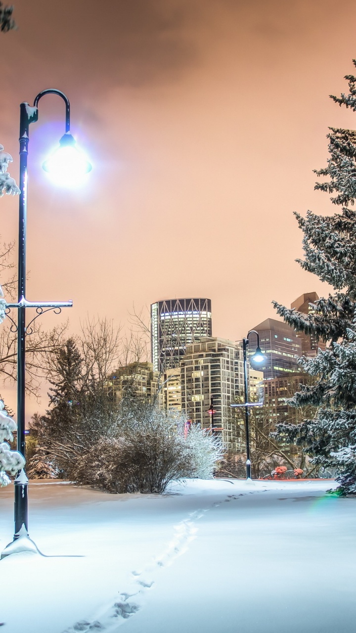 Snow Covered Trees and City Buildings During Sunset. Wallpaper in 720x1280 Resolution