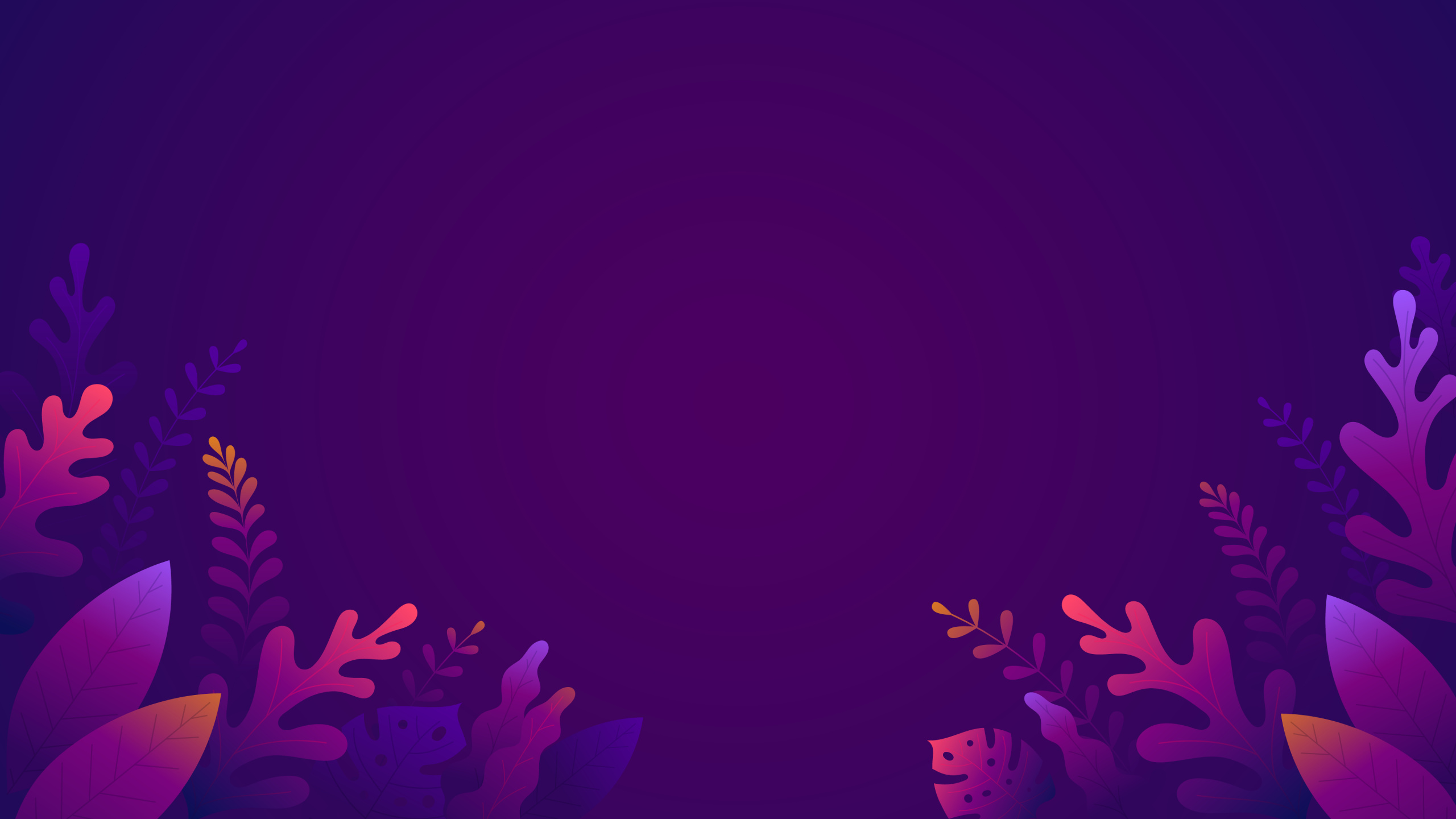 Plant, Purple, Petal, Violet, Pink. Wallpaper in 2560x1440 Resolution