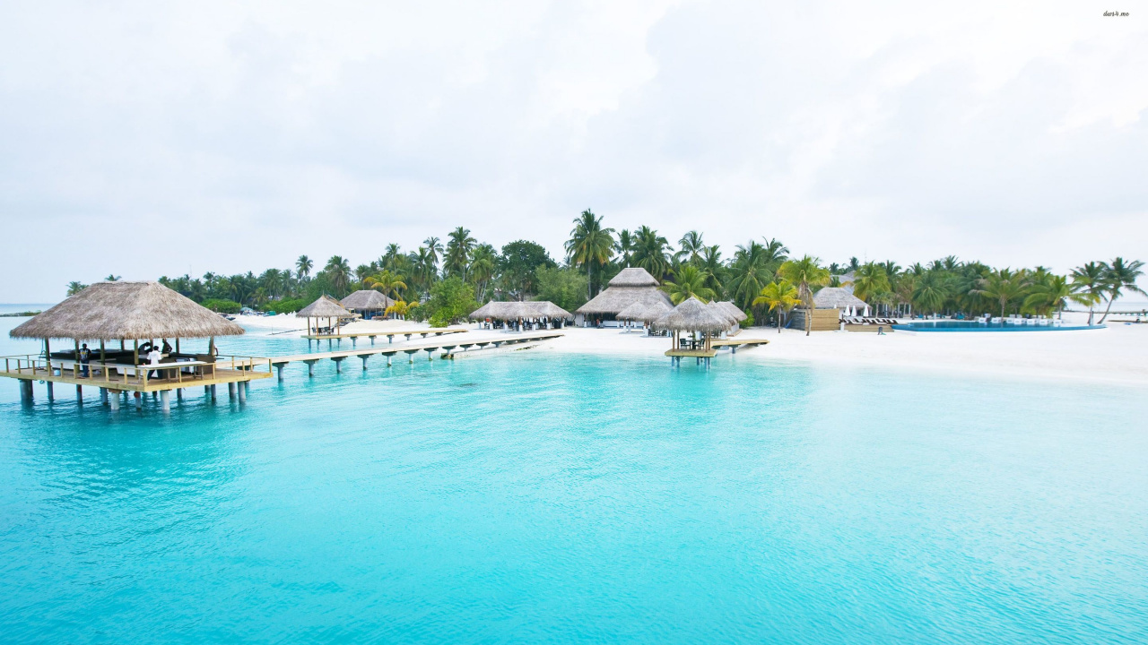 White and Blue Beach Umbrellas on Beach During Daytime. Wallpaper in 1280x720 Resolution