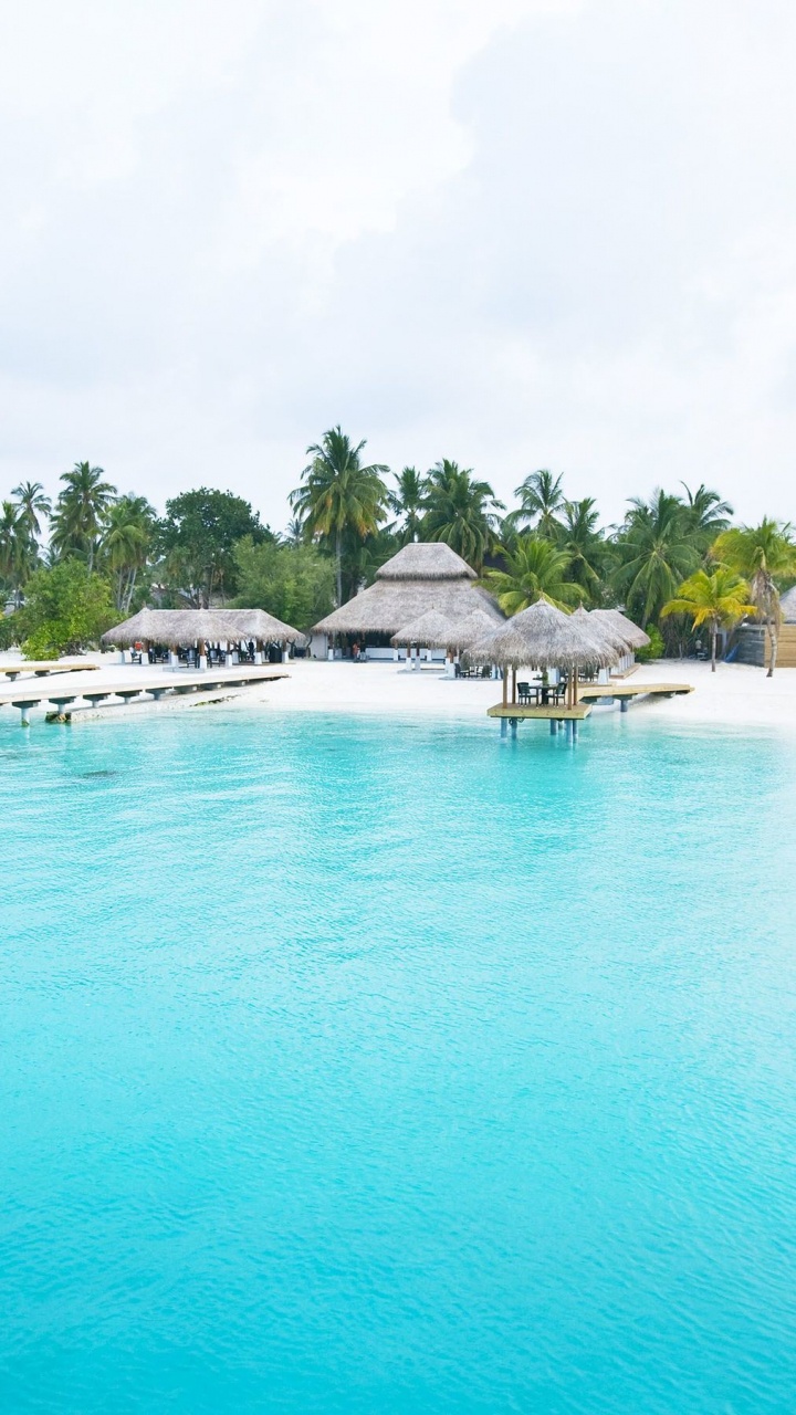 White and Blue Beach Umbrellas on Beach During Daytime. Wallpaper in 720x1280 Resolution