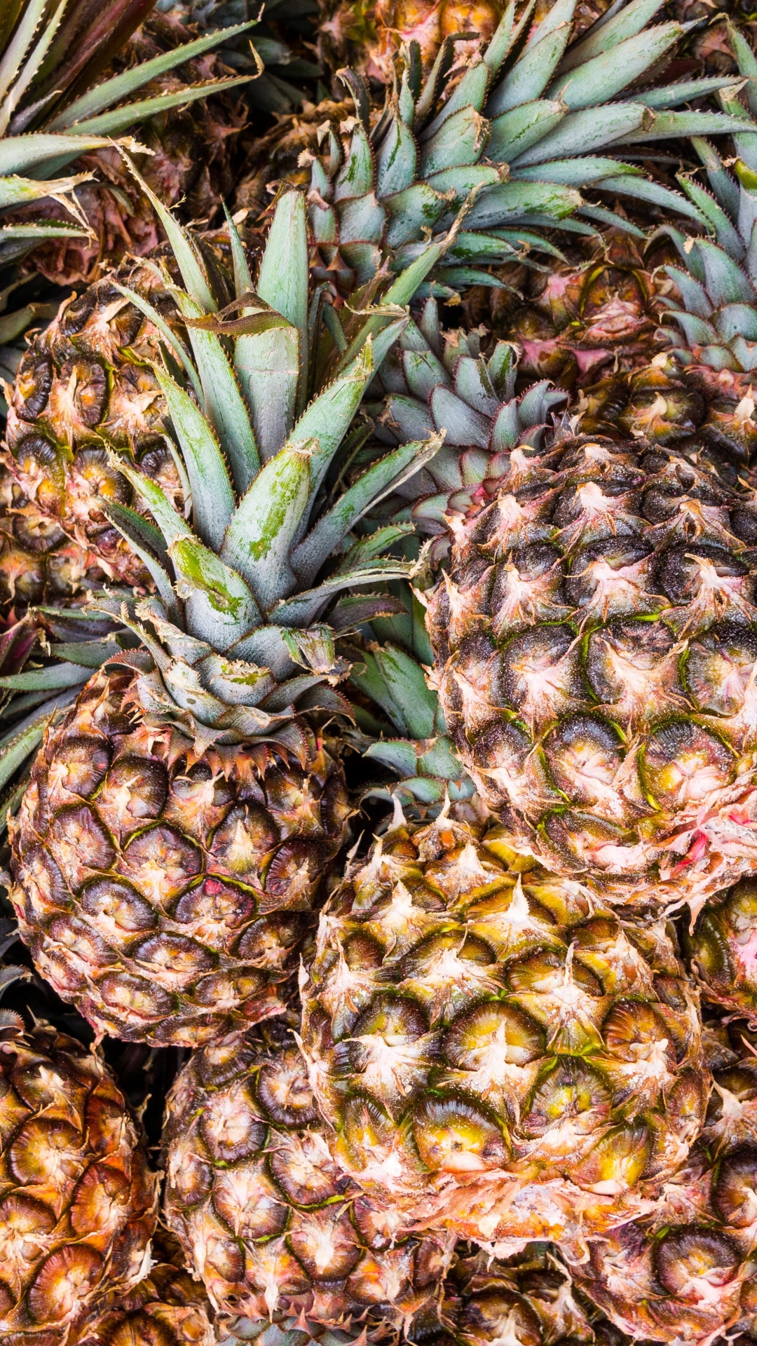 Fruits D'ananas Verts et Jaunes. Wallpaper in 1080x1920 Resolution