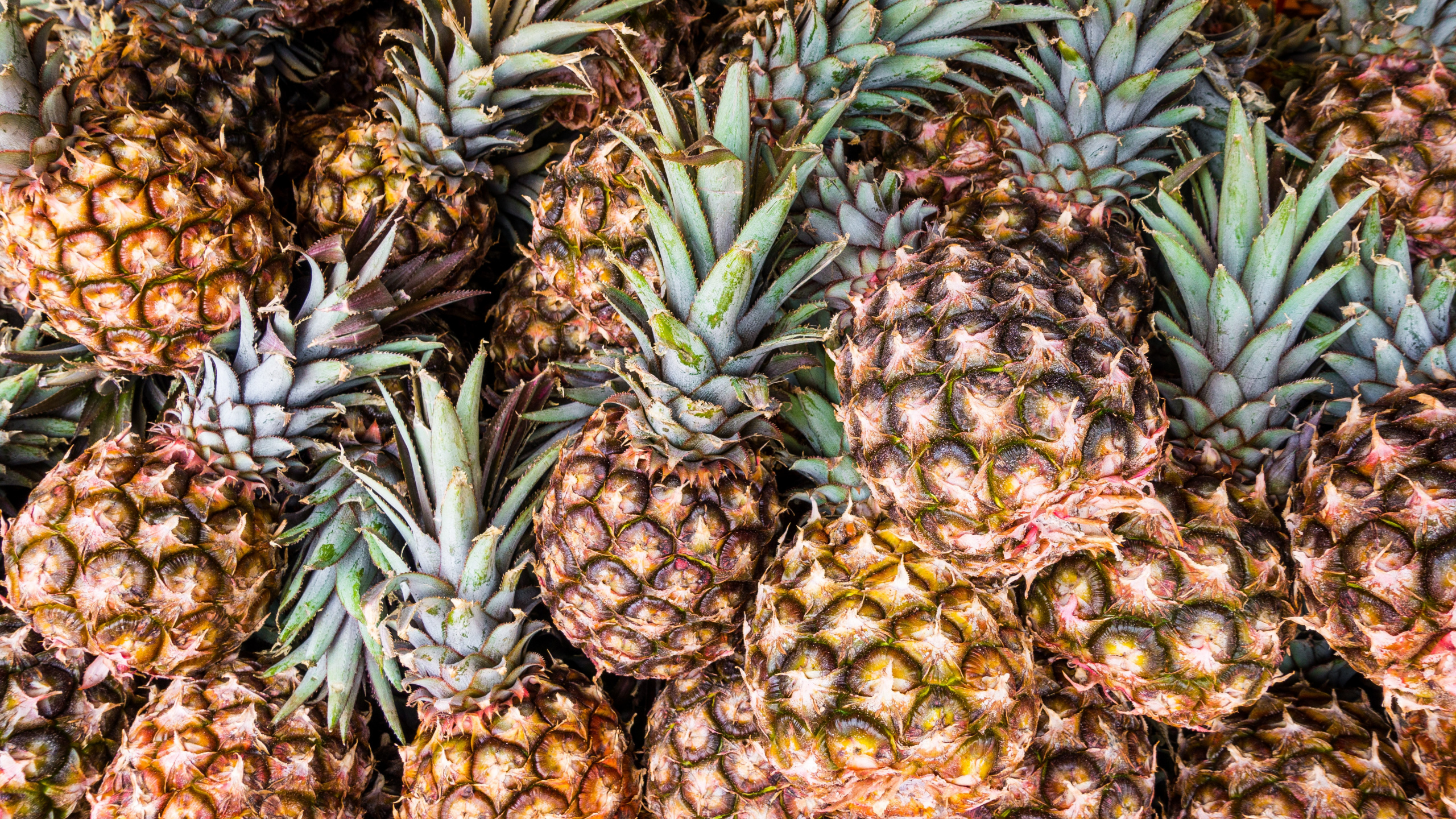 Fruits D'ananas Verts et Jaunes. Wallpaper in 2560x1440 Resolution