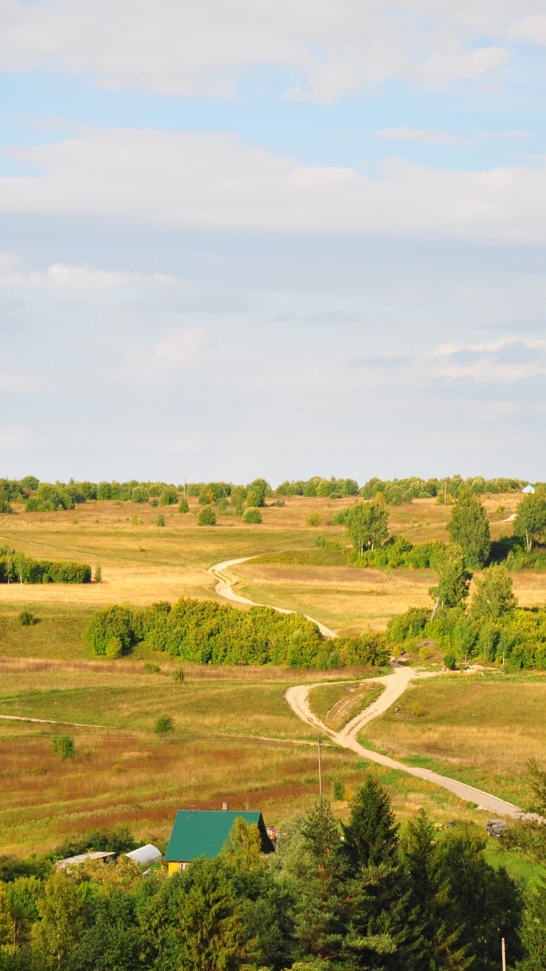 Tagsüber Grüne Wiese Unter Blauem Himmel. Wallpaper in 1080x1920 Resolution