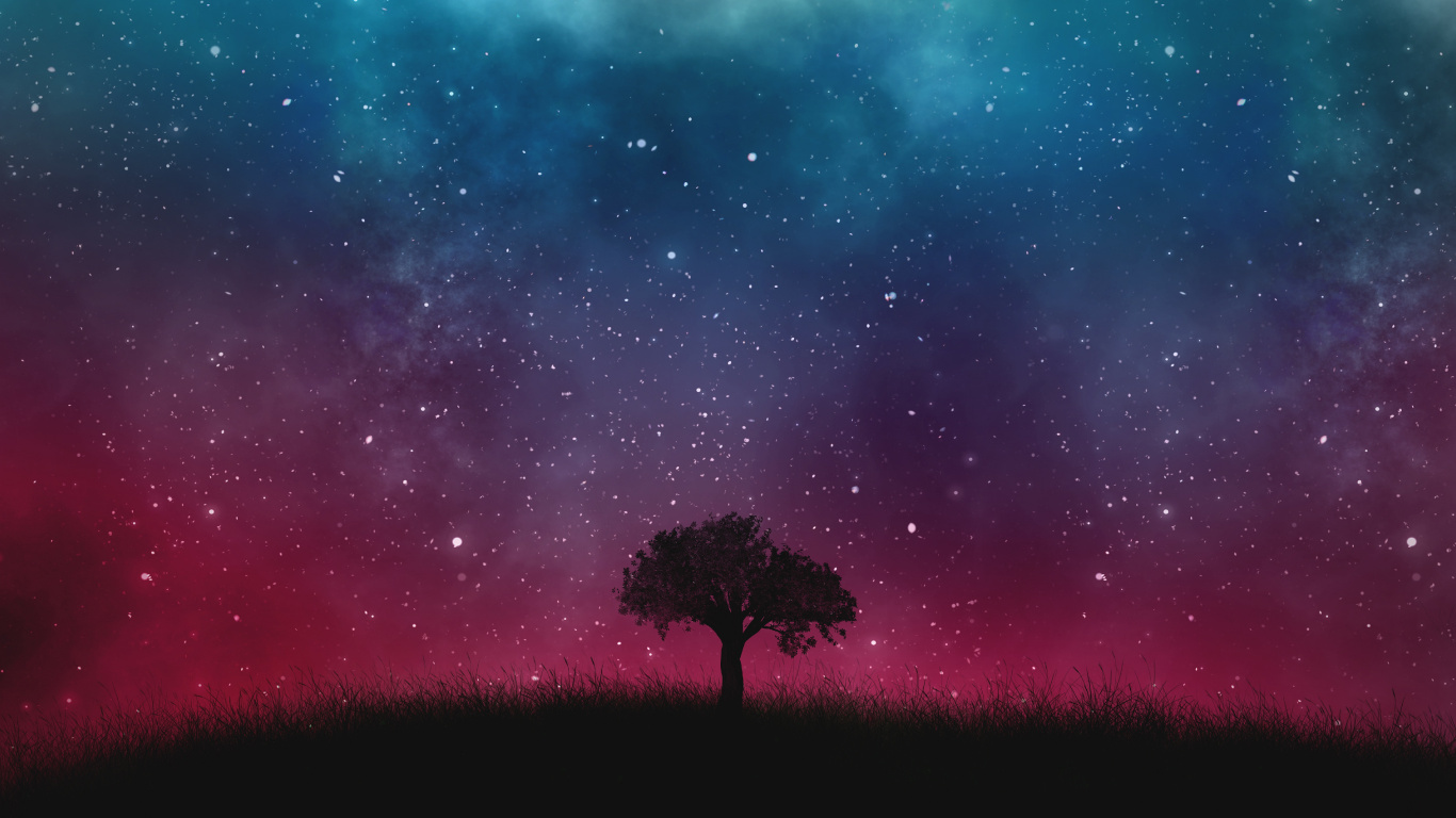 Silhouette of Tree Under Starry Night. Wallpaper in 1366x768 Resolution