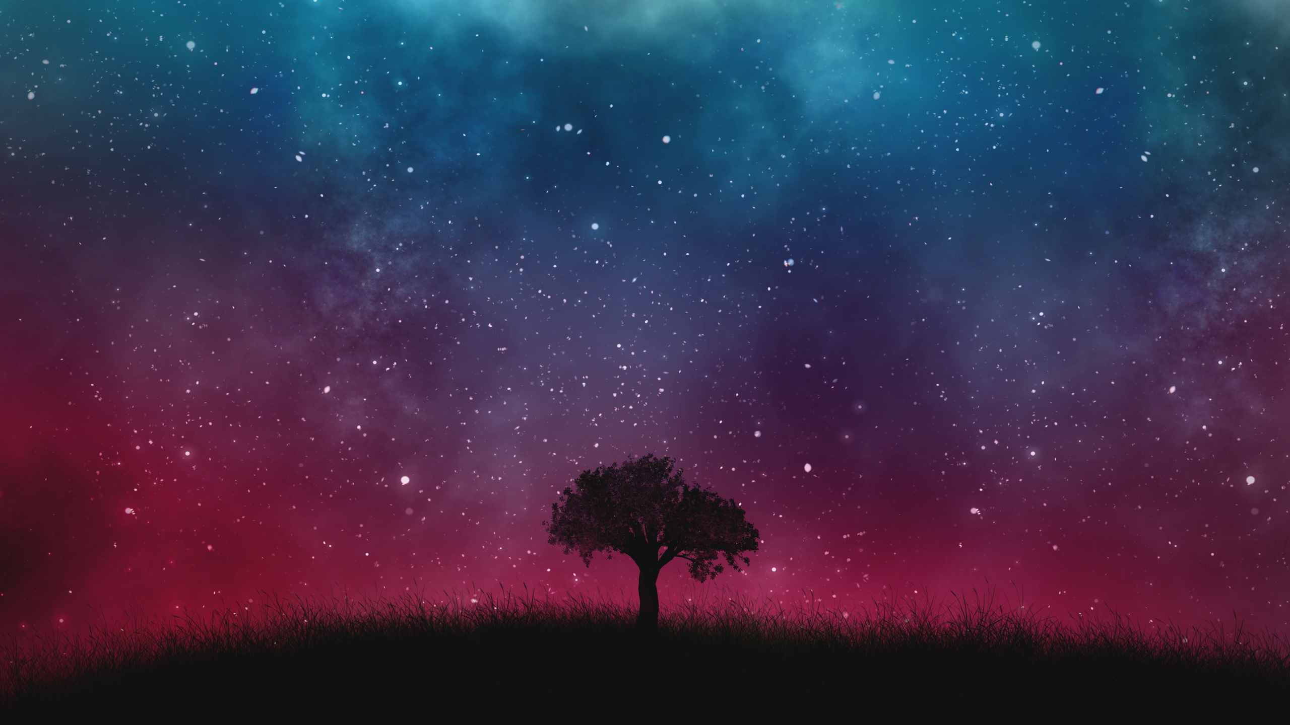 Silhouette of Tree Under Starry Night. Wallpaper in 2560x1440 Resolution