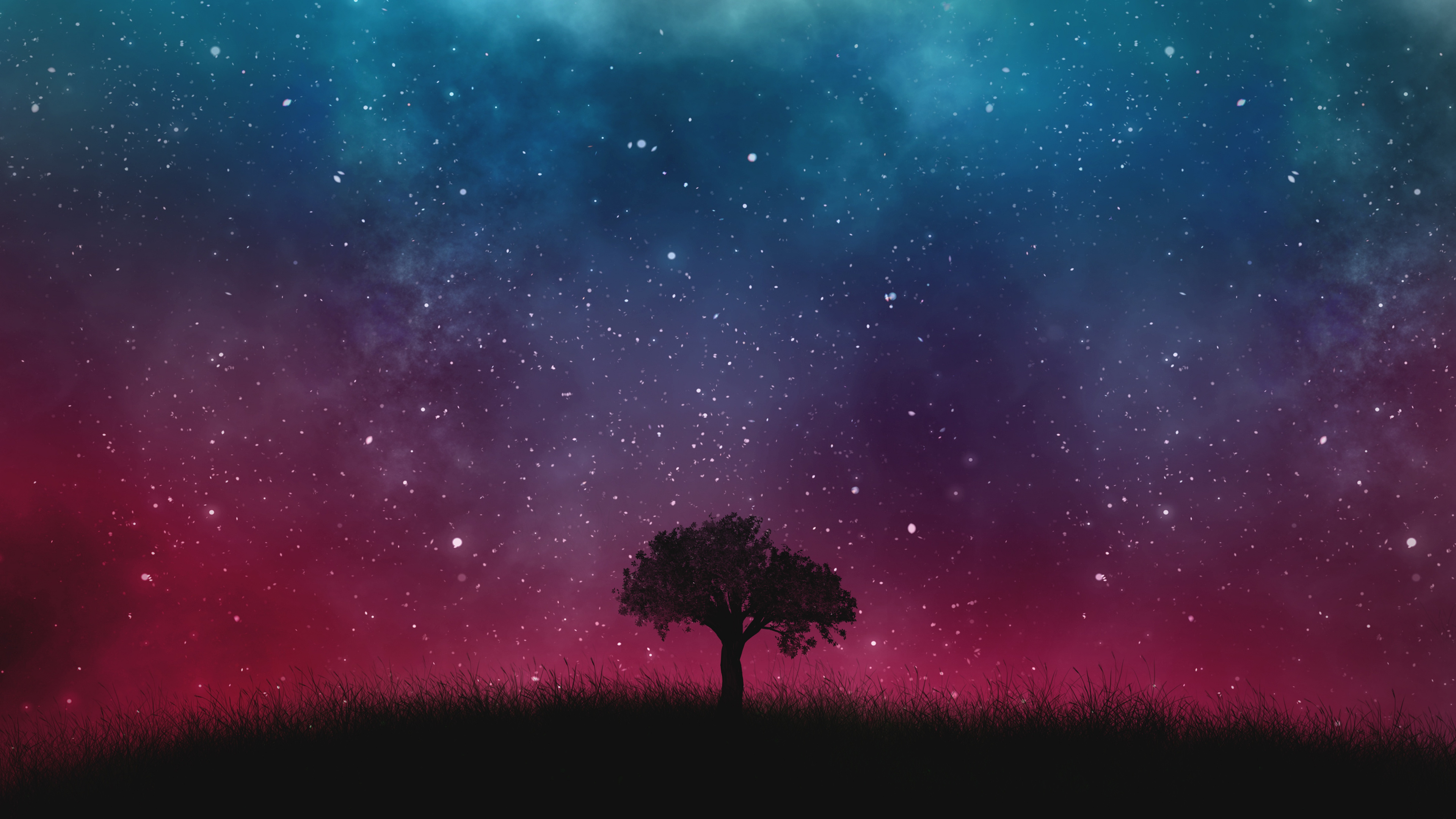 Silueta de Árbol Bajo la Noche Estrellada. Wallpaper in 3840x2160 Resolution