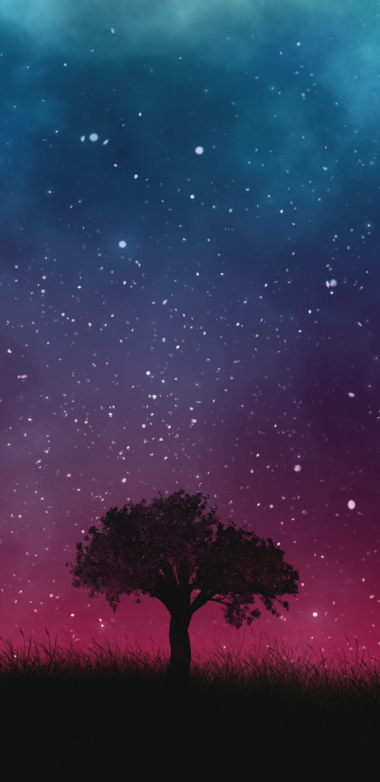 Baumsilhouette Unter Sternenklarer Nacht. Wallpaper in 1440x2960 Resolution