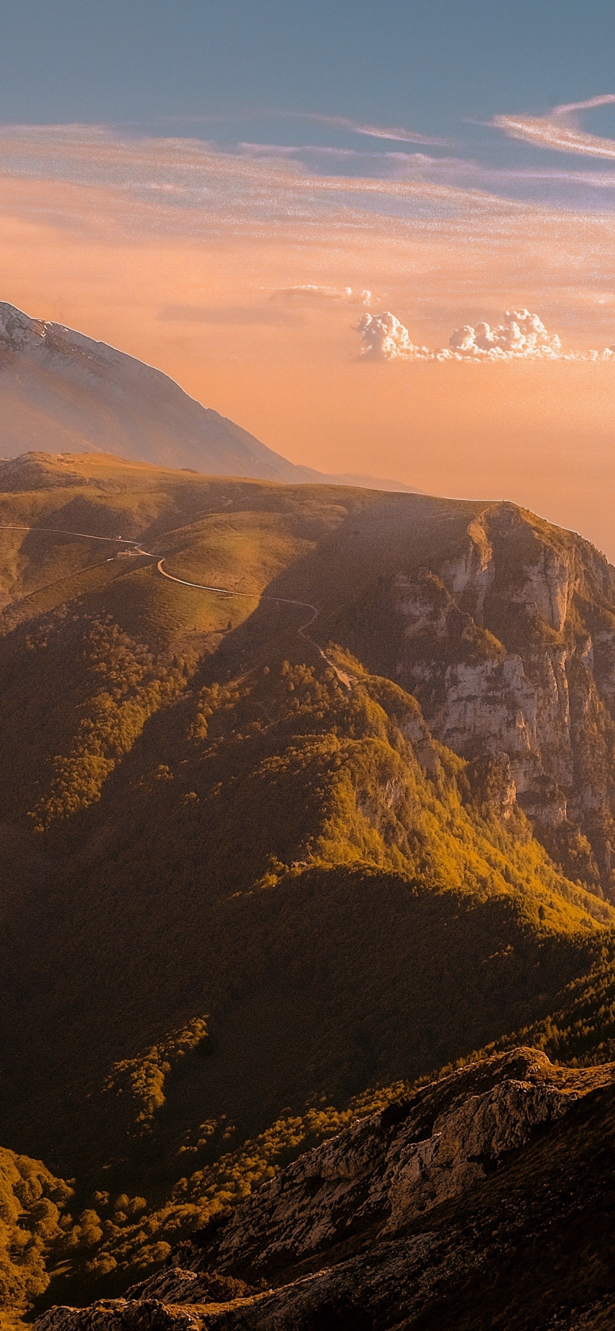 Apple, IPhone, IPhone X, Äpfeln, Hecht Präambel. Wallpaper in 1242x2688 Resolution