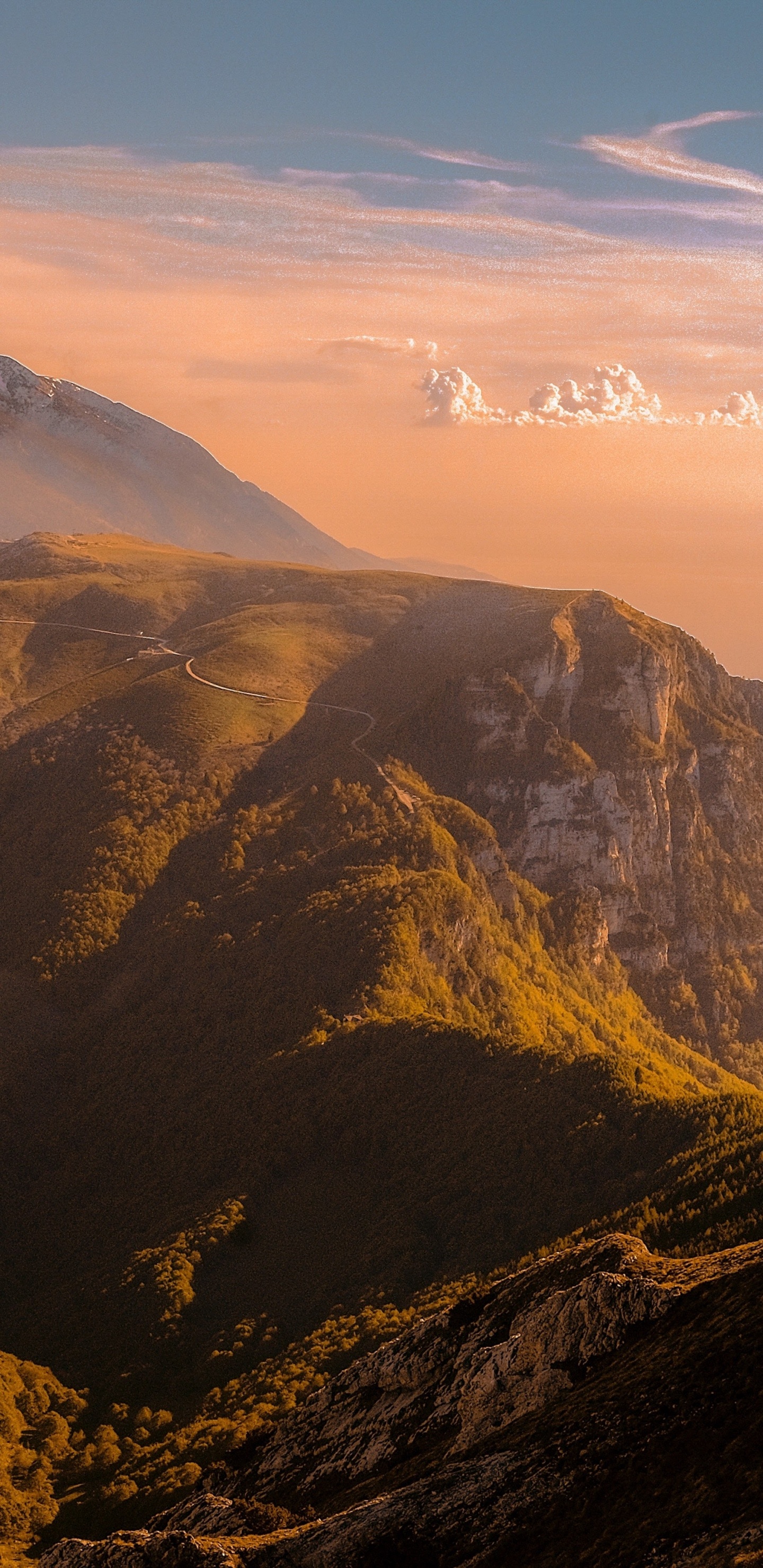 Apple, IPhone, IPhone X, 苹果, IMac 壁纸 1440x2960 允许