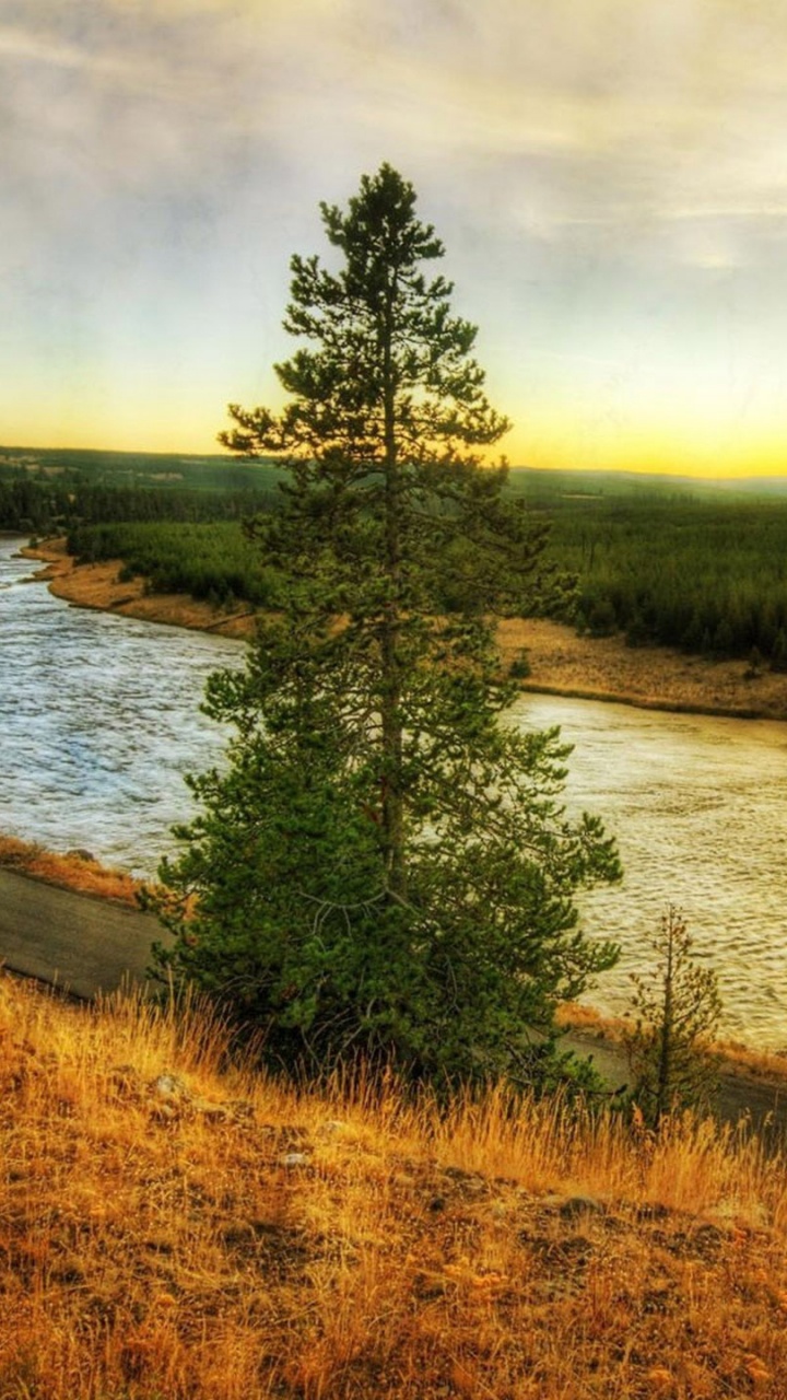 Green Trees Beside River Under Cloudy Sky During Daytime. Wallpaper in 720x1280 Resolution