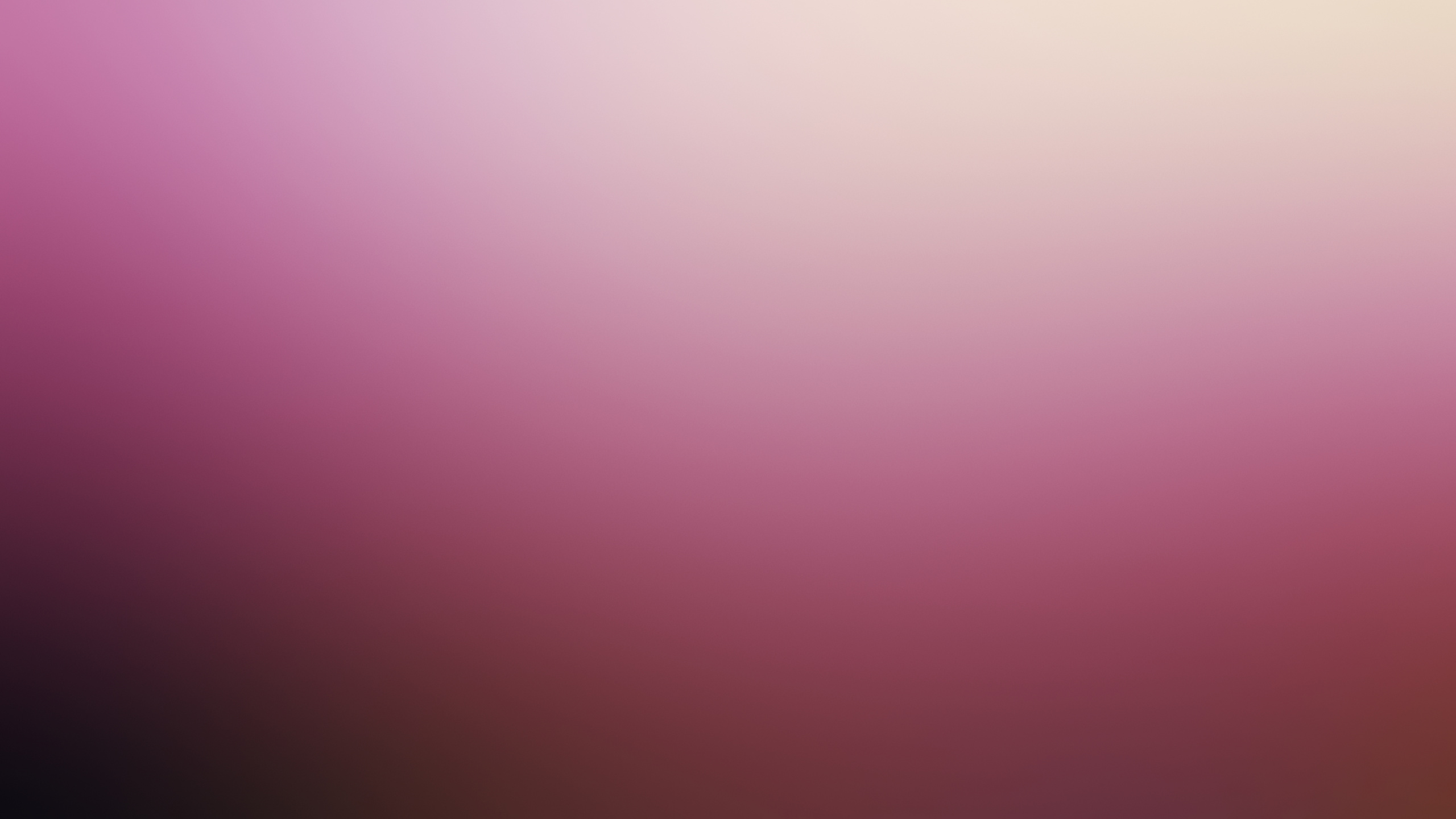 Rosa Textil in Nahaufnahme Close. Wallpaper in 2560x1440 Resolution