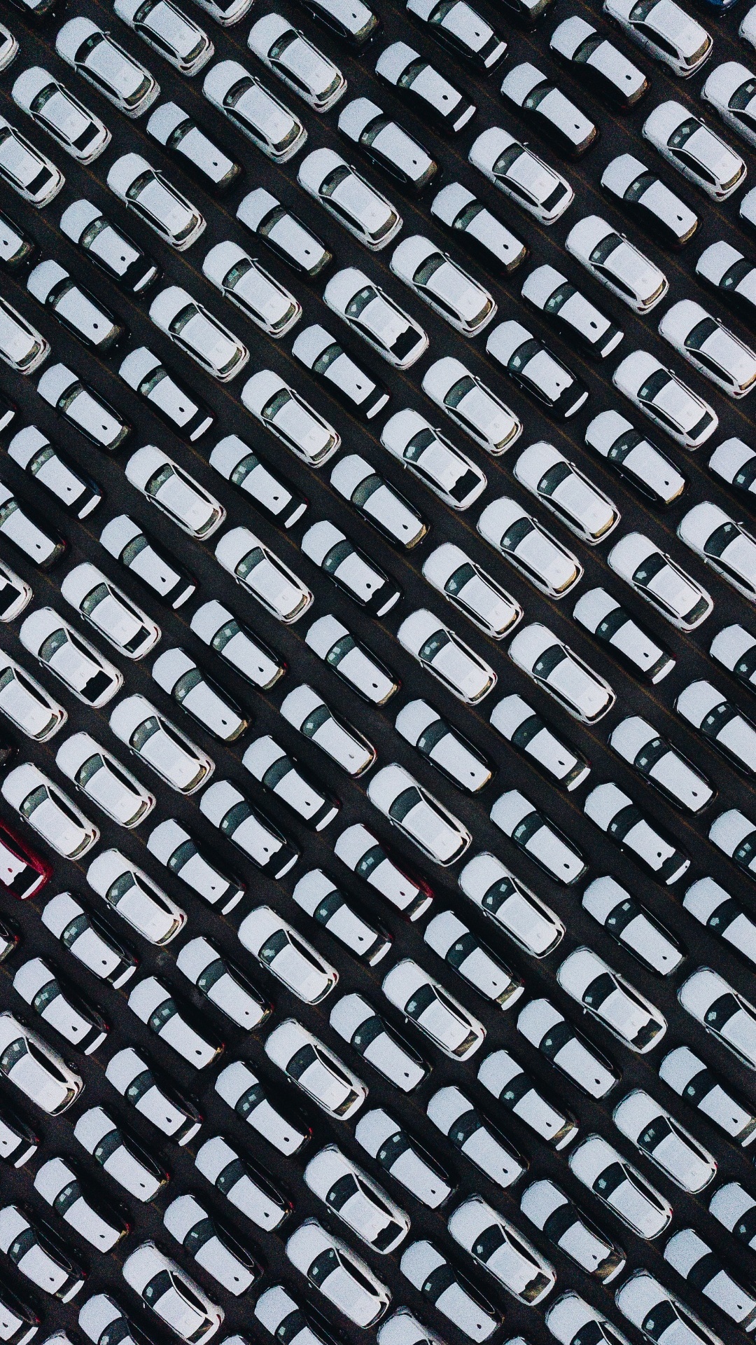 Cincuenta Peniques, Moneda, Parrilla, Material Propiedad, Malla. Wallpaper in 1080x1920 Resolution