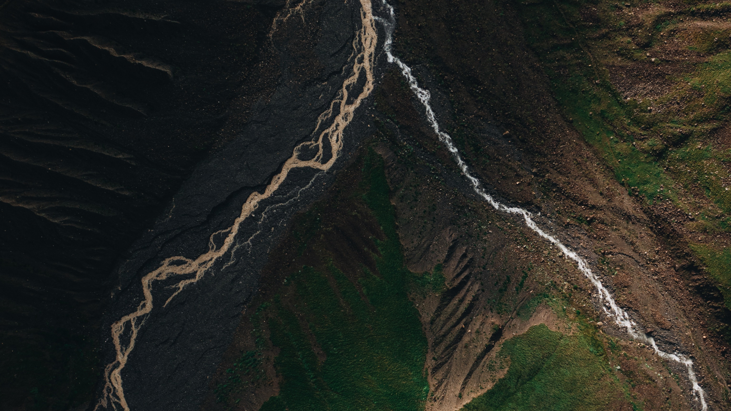 Water, Earth, Art, Android, Wood. Wallpaper in 2560x1440 Resolution